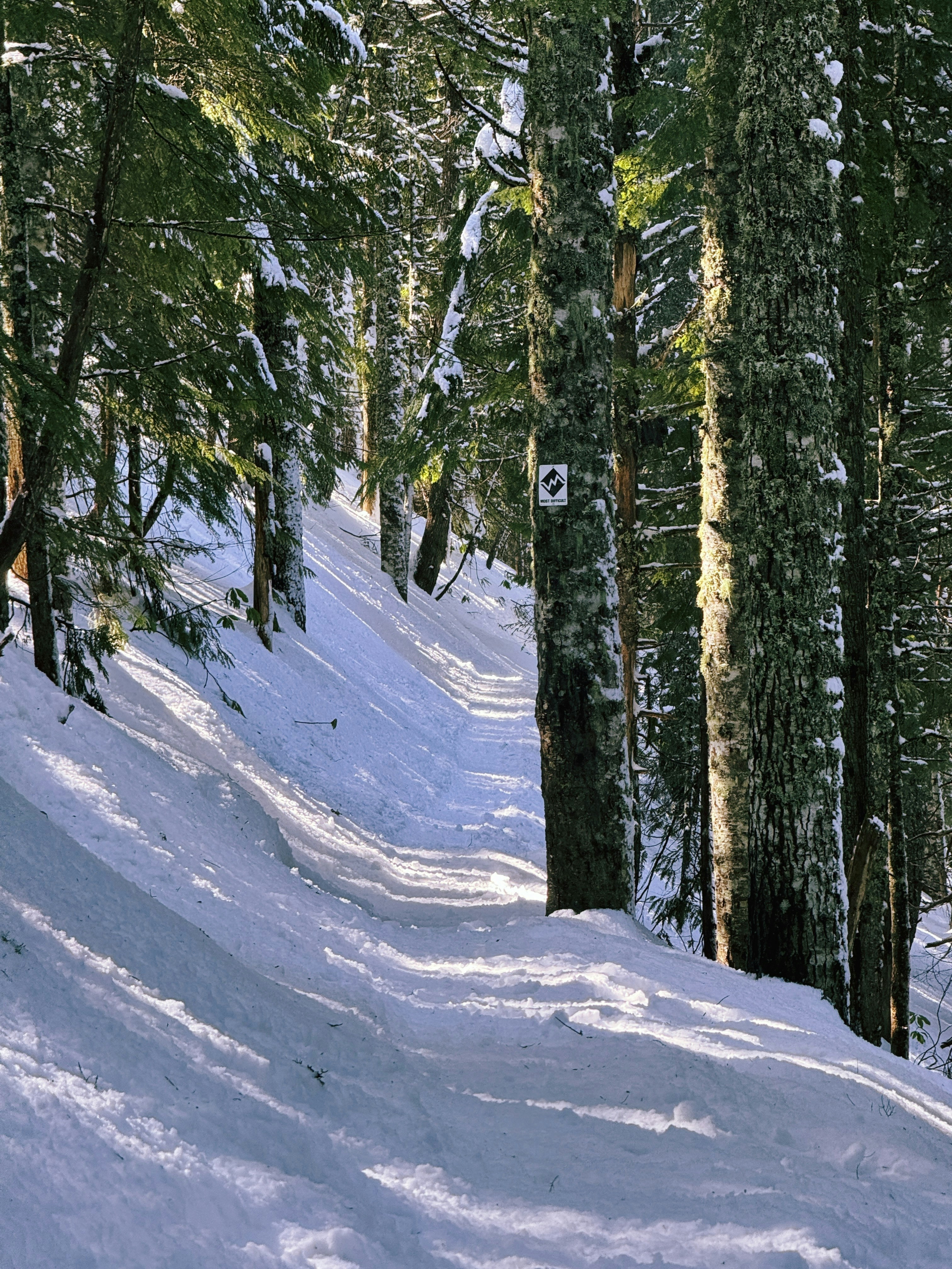 Cover Image for Life Science Hikers - Boston Edition - December Hike