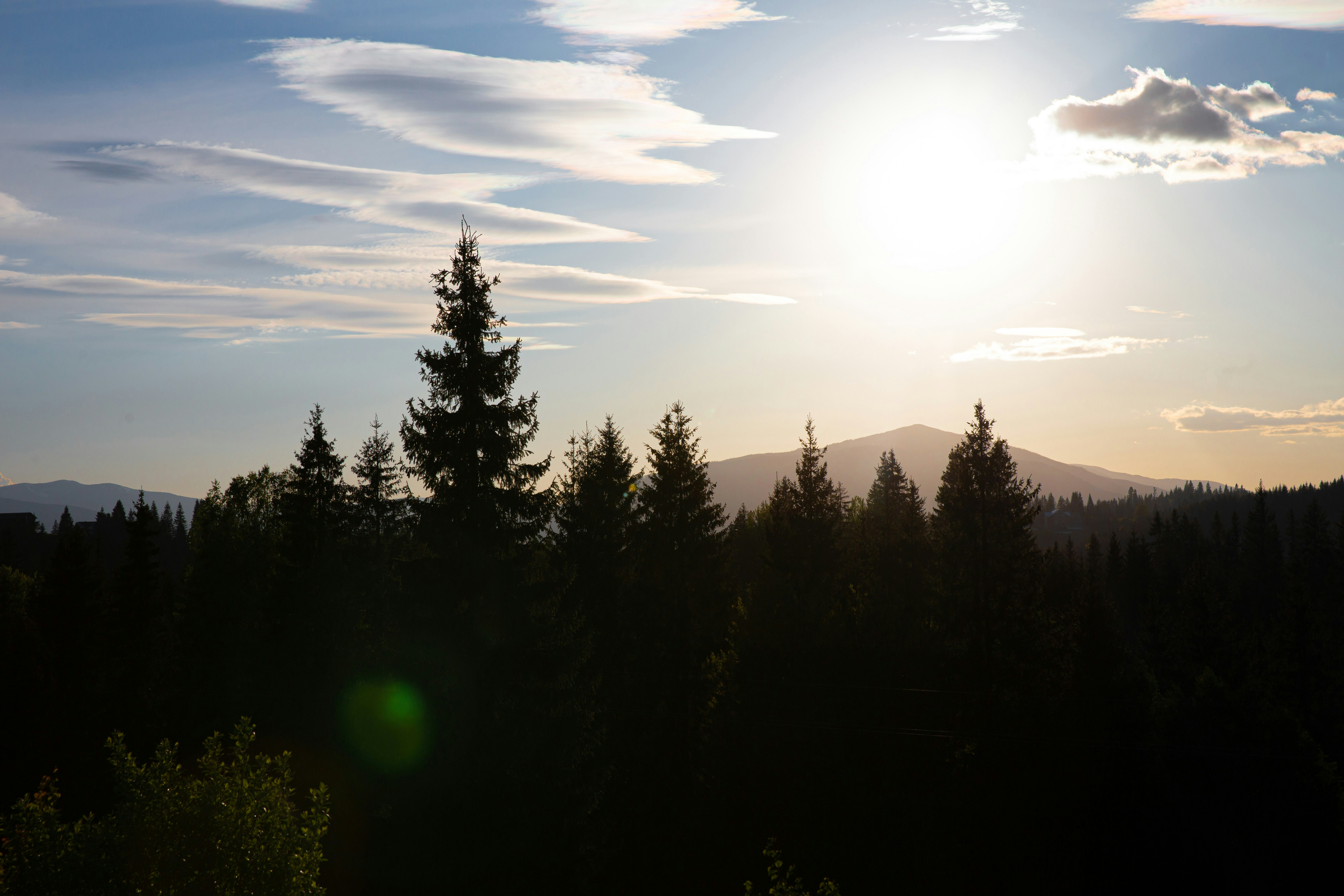 Photo by theprototype