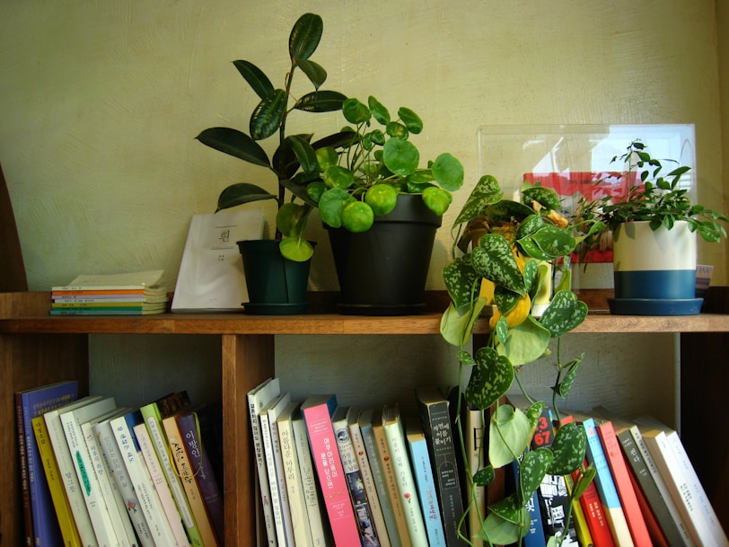 A bookshelf filled with lots of books and plants