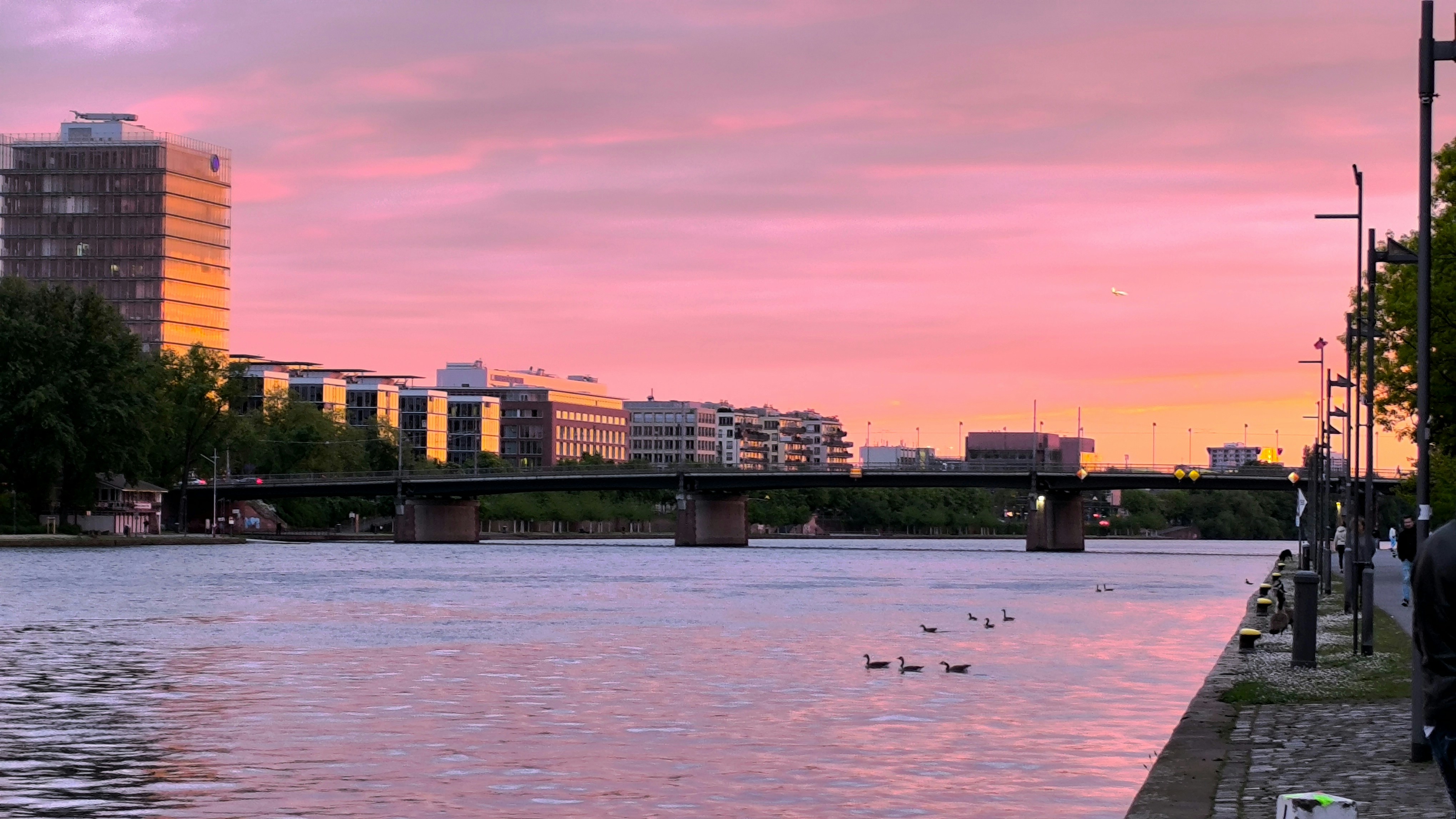 Photo by yuccaknowledge