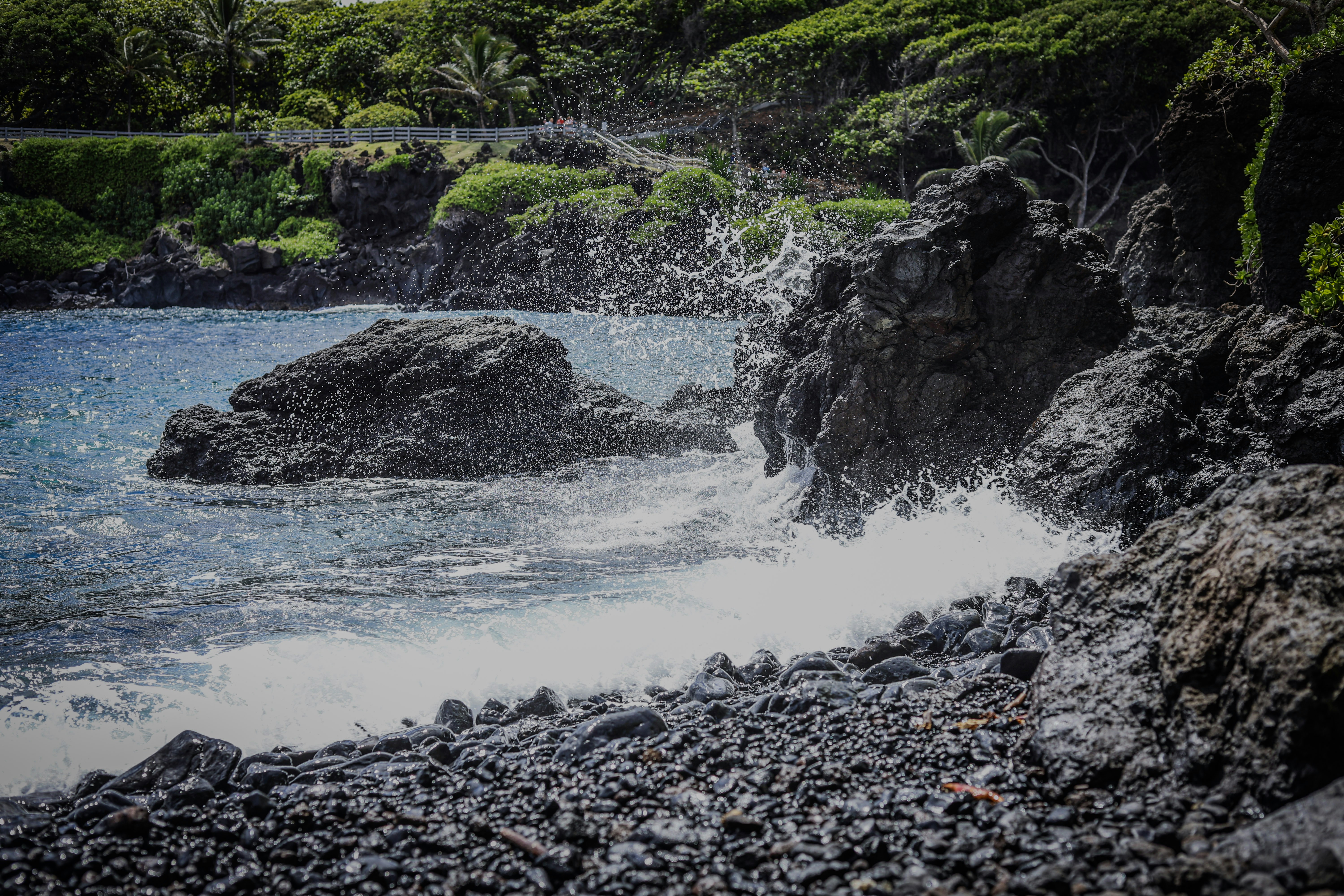 Photo by chaitanya_rayampally