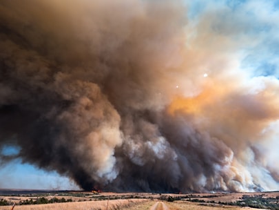 A large plume of smoke billows into the sky