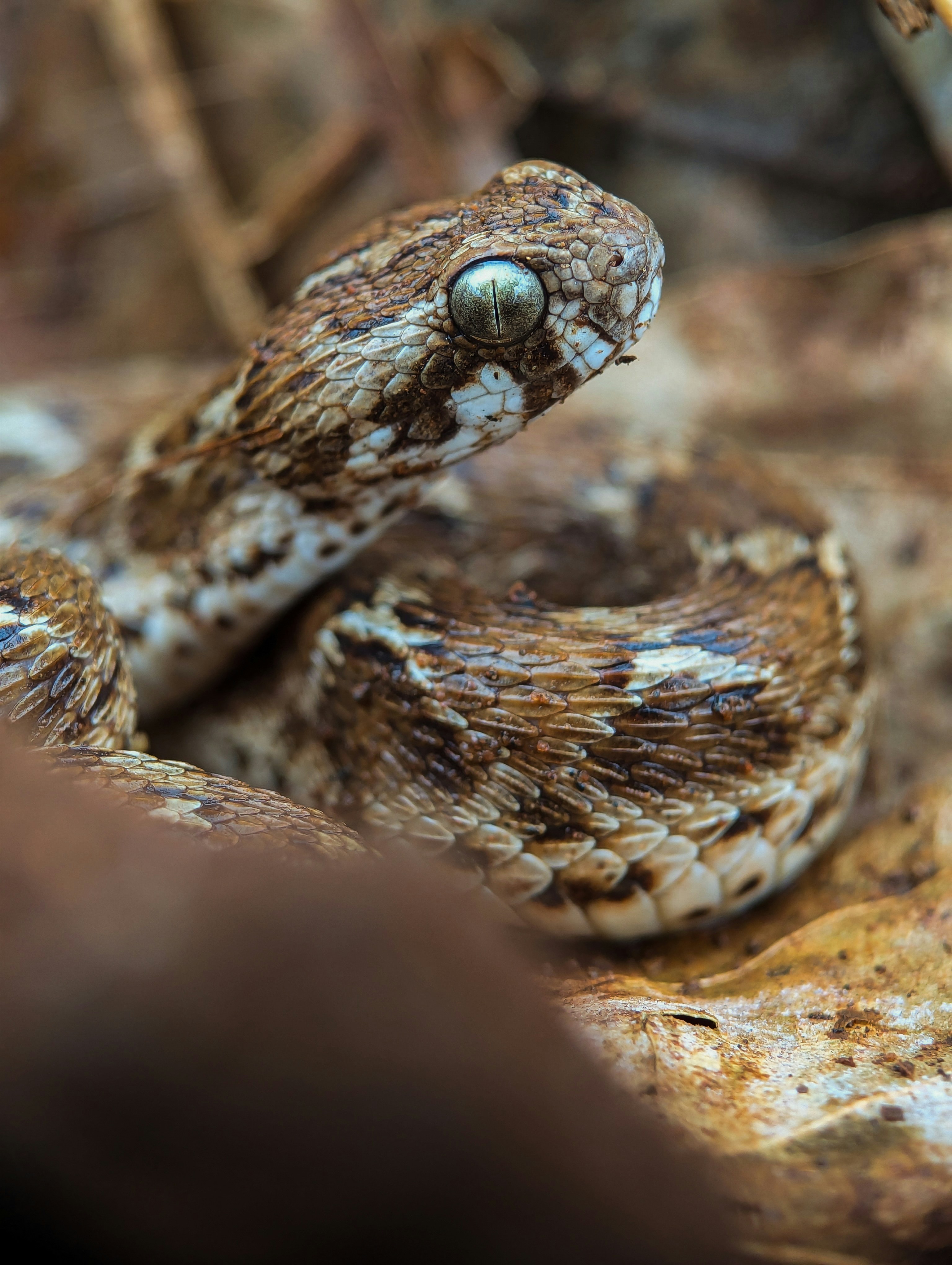 Photo by vikramaditya