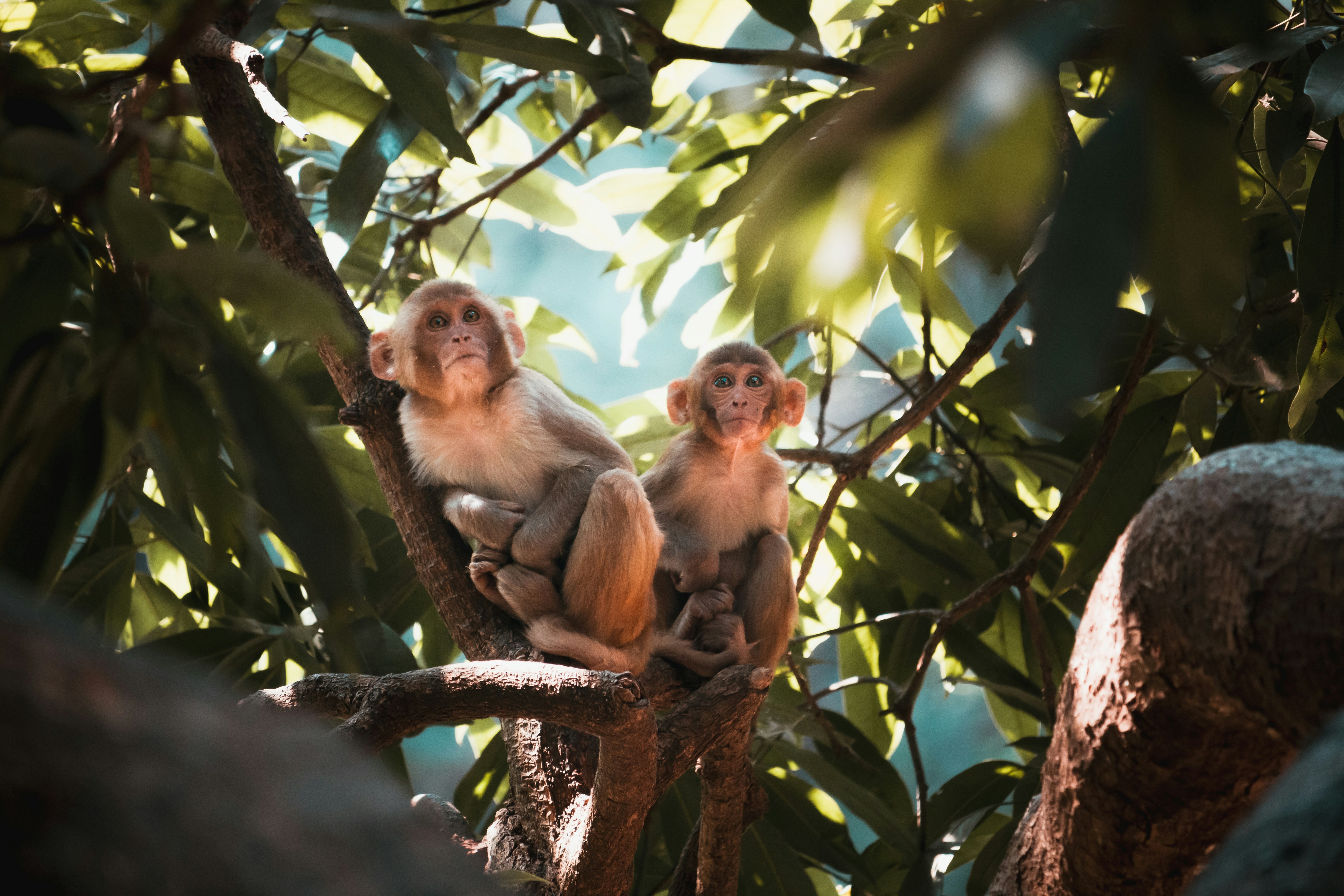 Photo by lakshya2001