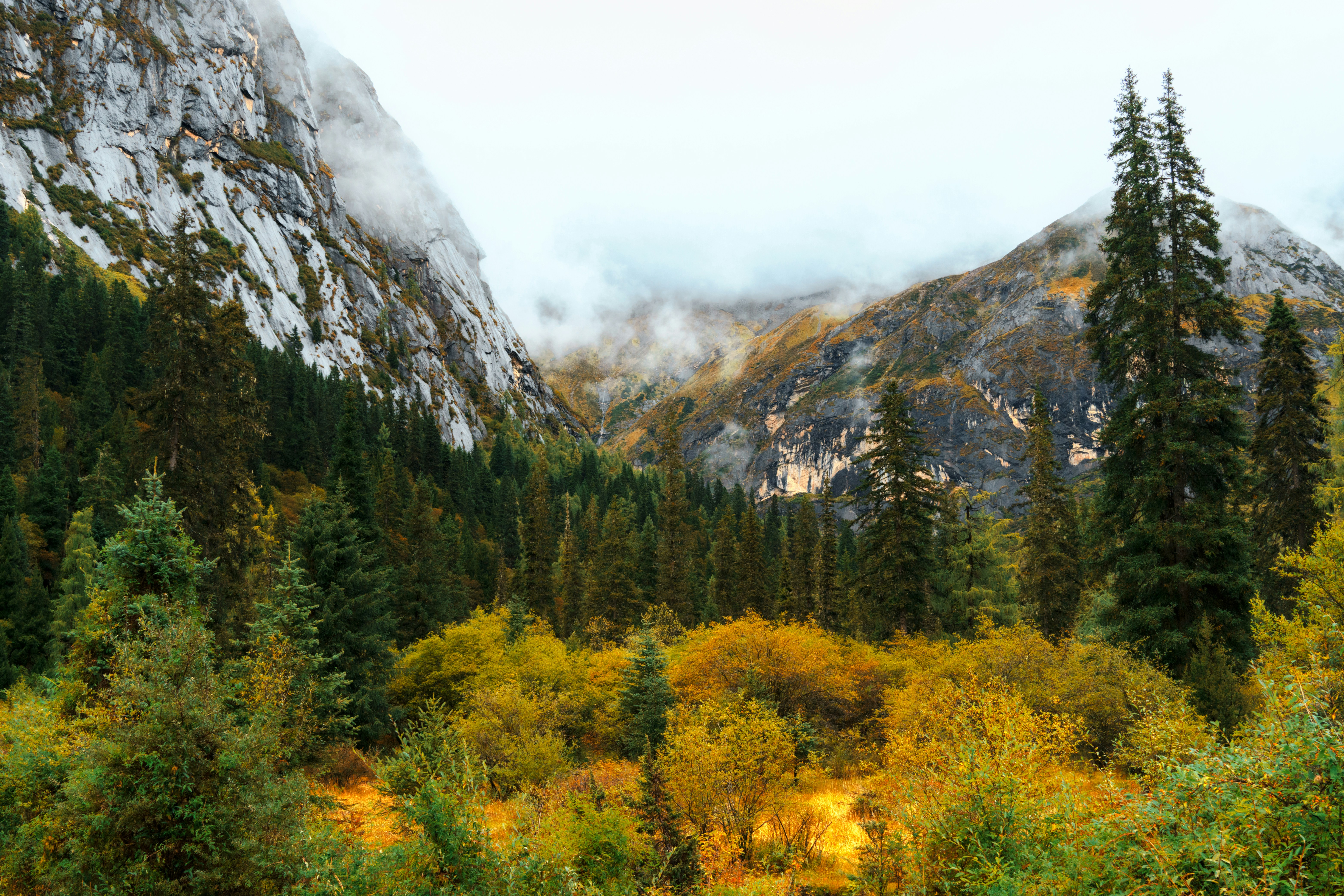 Photo by hattrick1996