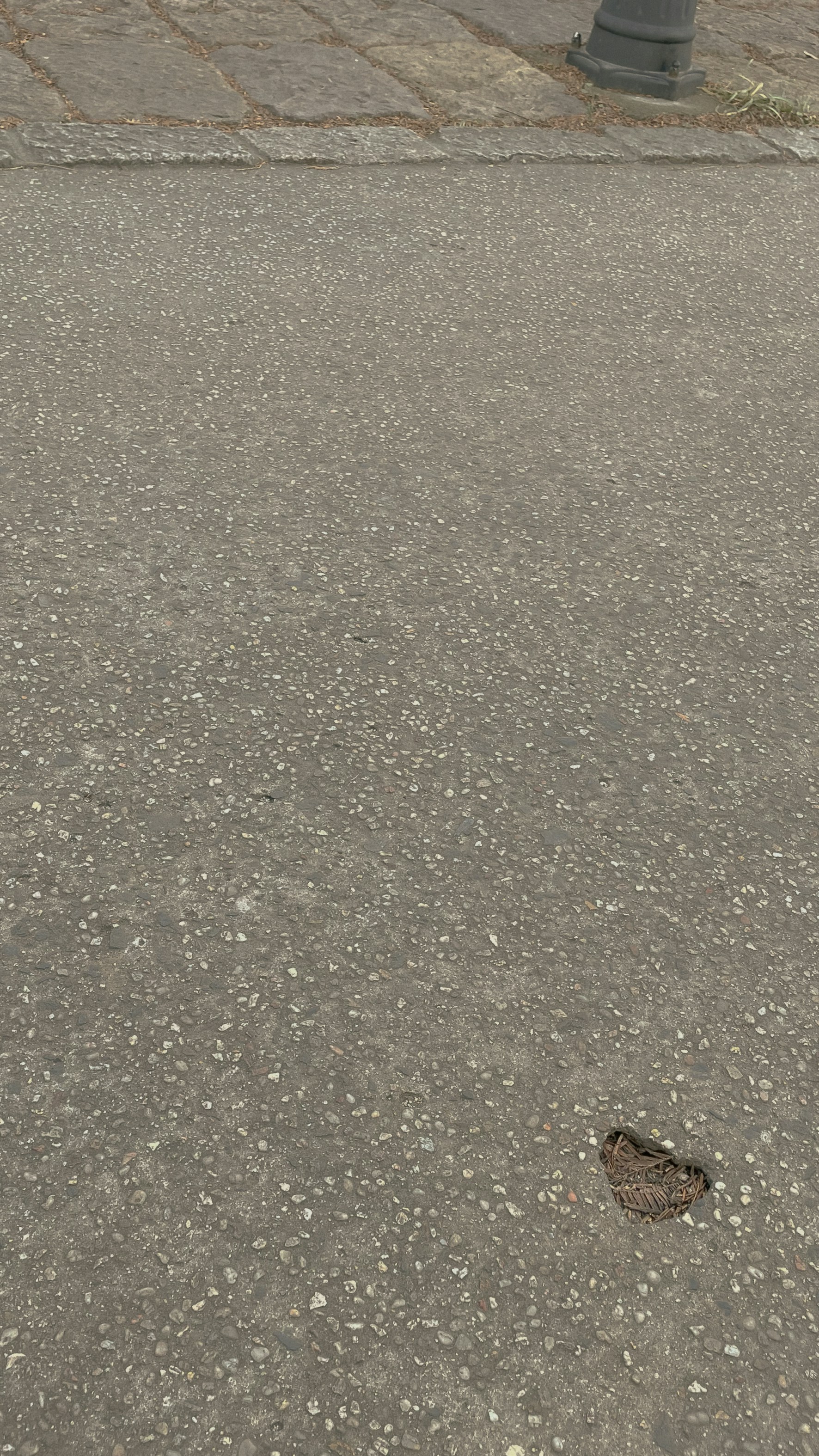 photo-1731747844997-cd43c05e53bc?ixid=M3