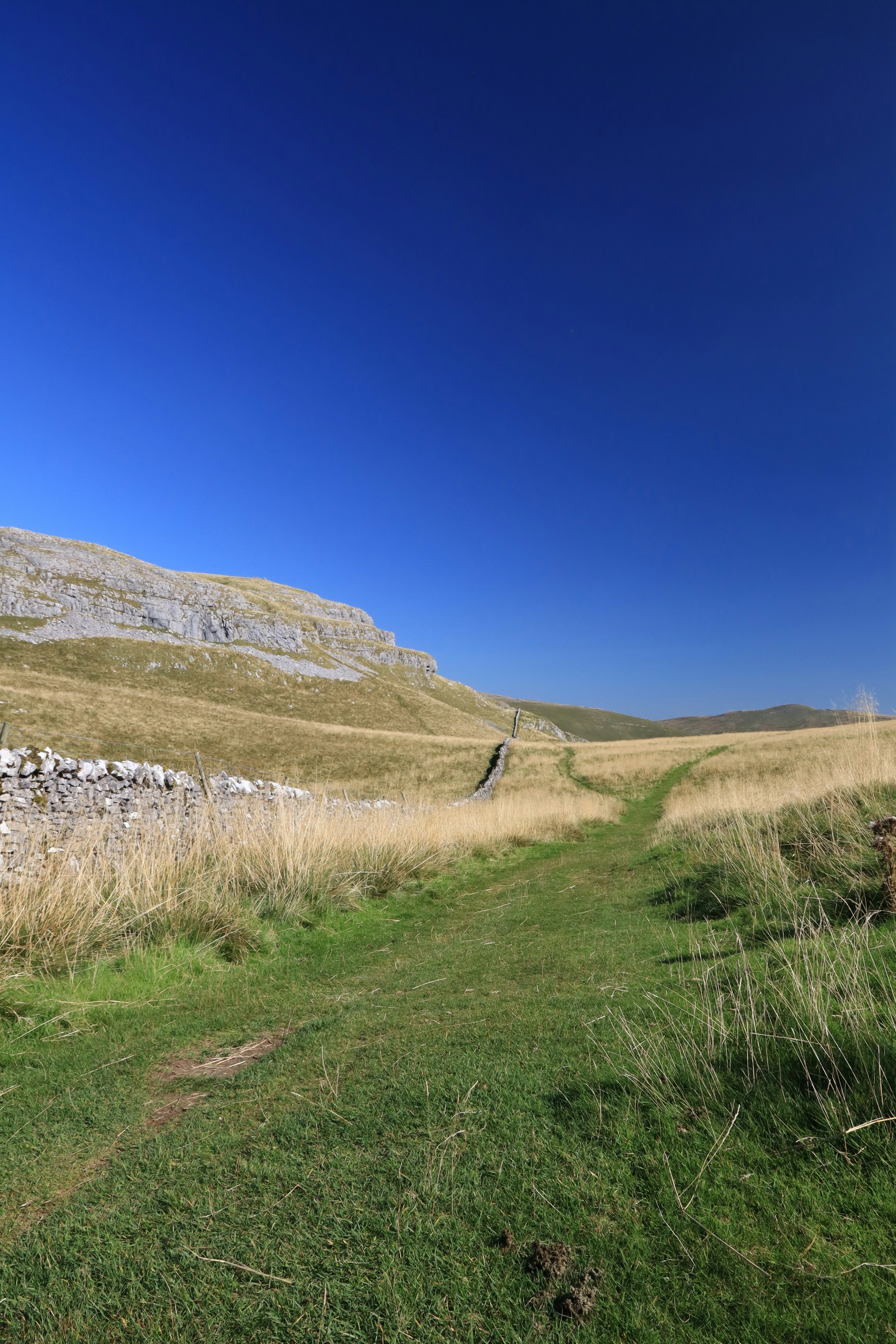 A grassy field with a stone wall in the background