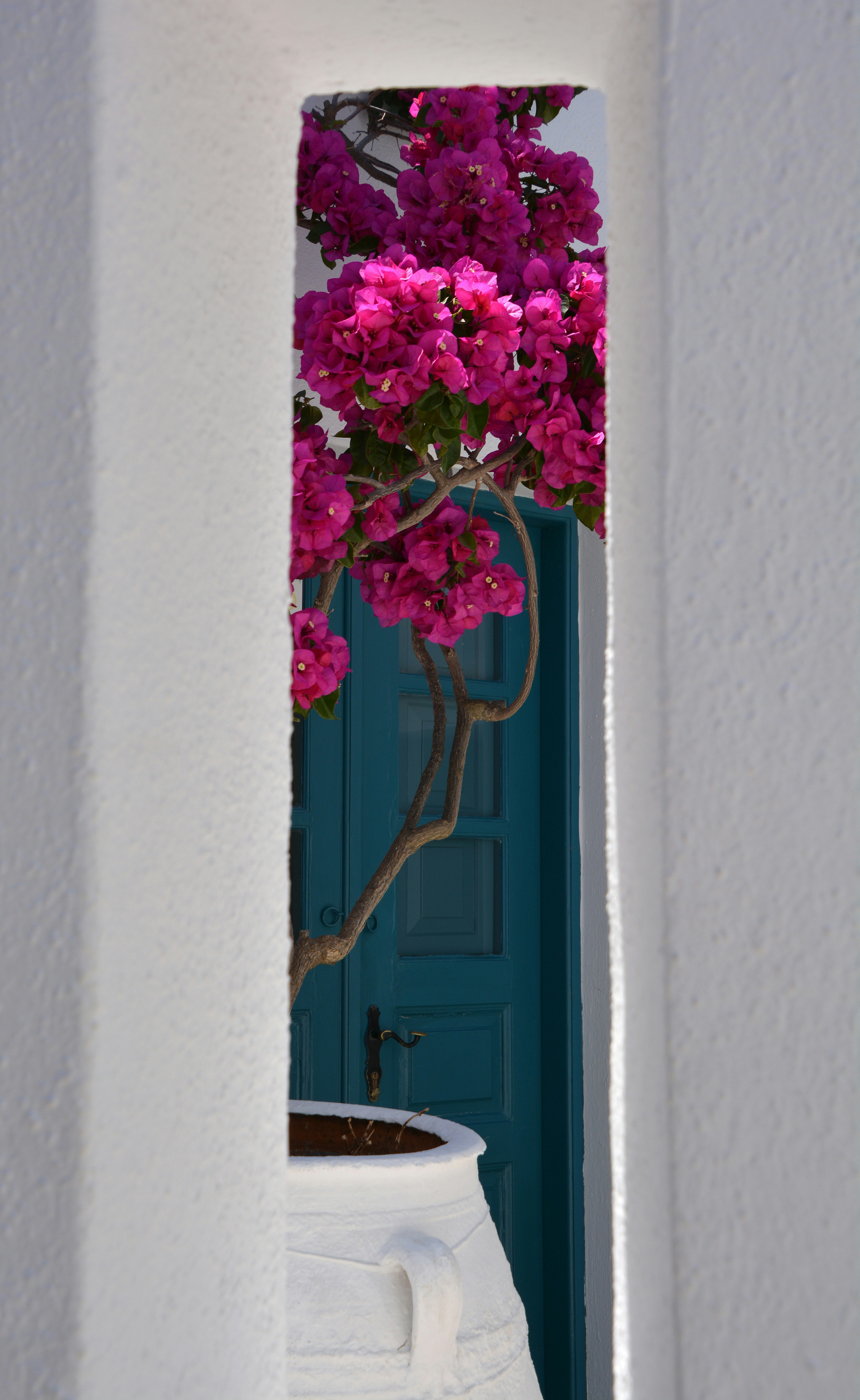 Photo by mohammadkarami