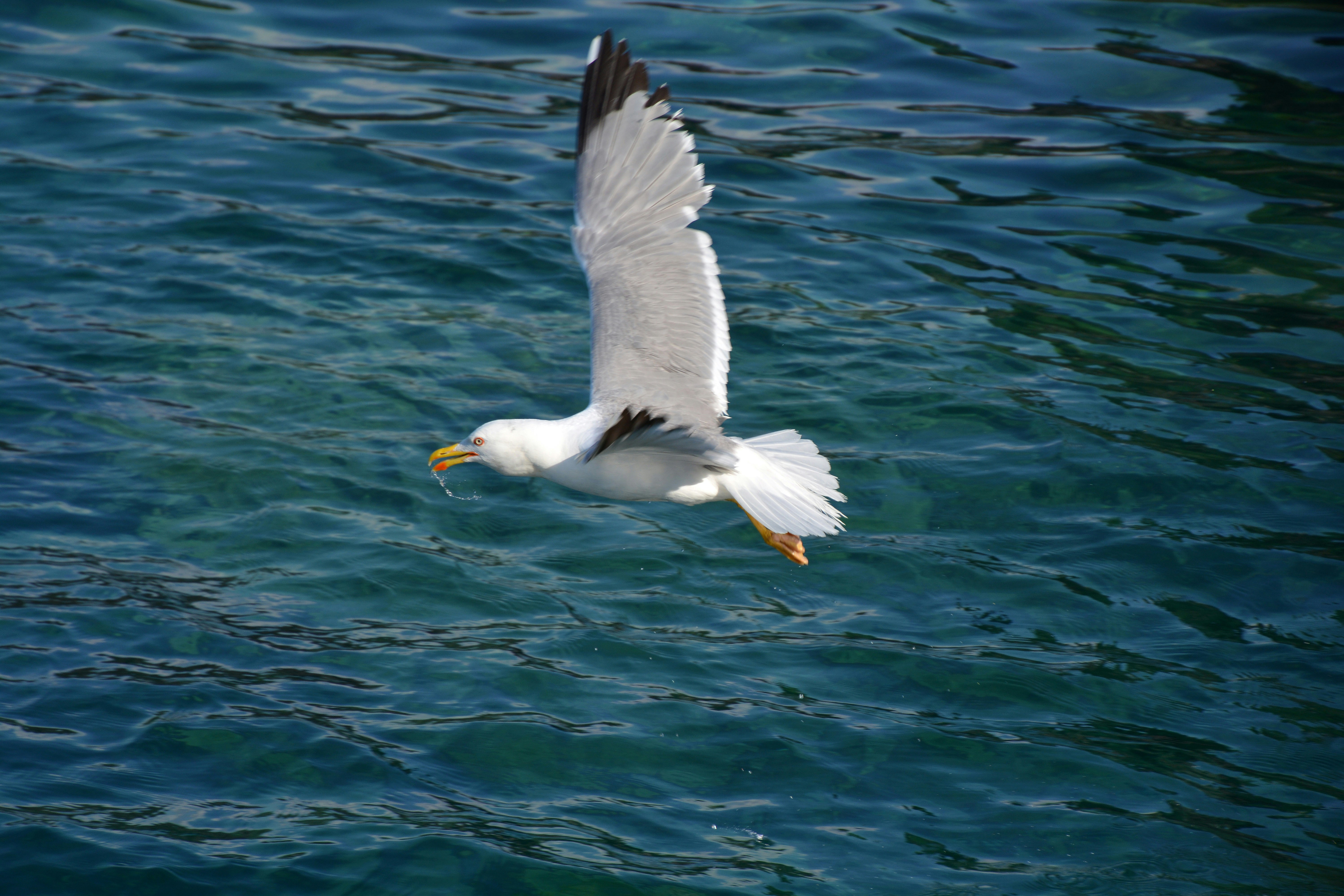 Photo by mohammadkarami