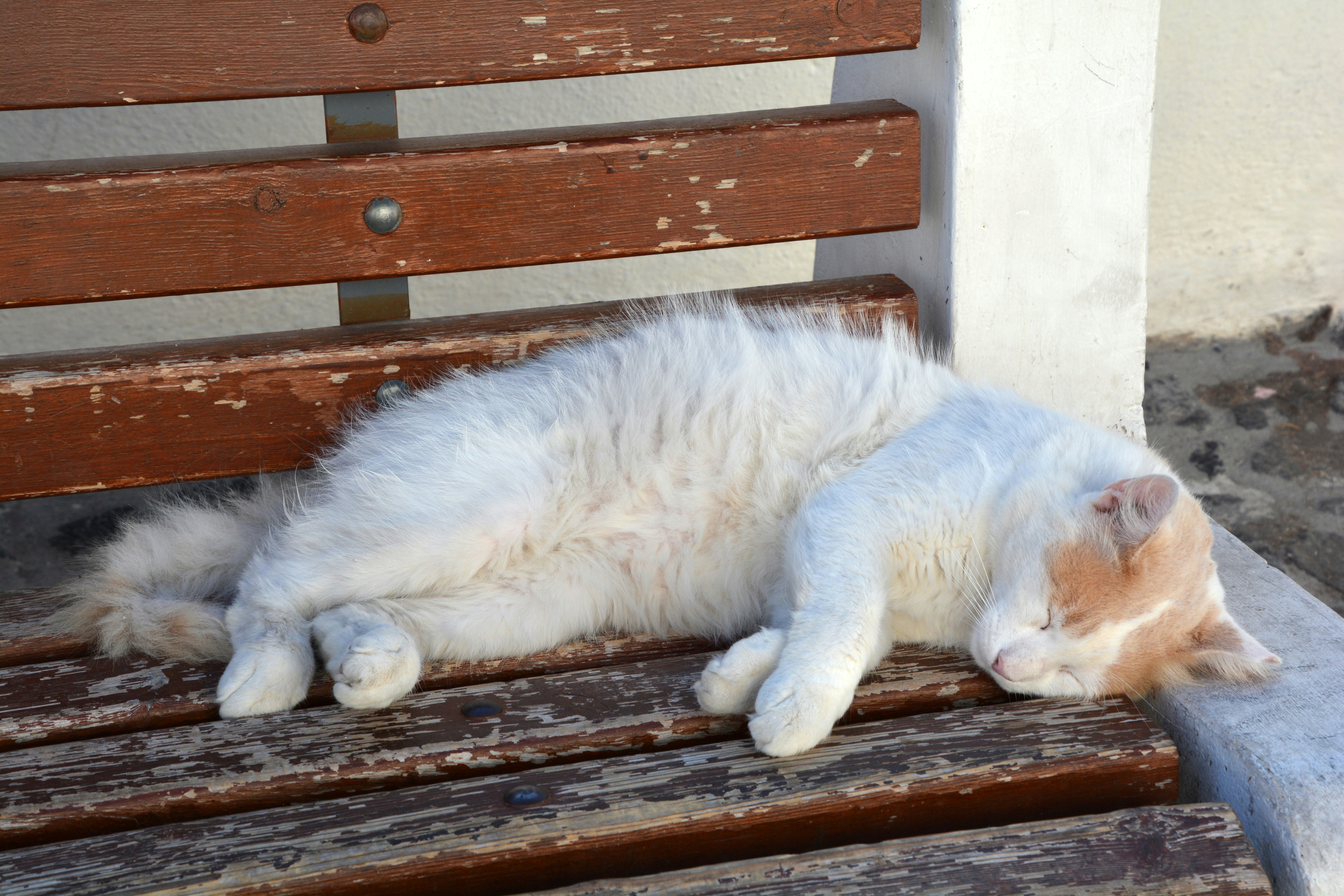 Photo by mohammadkarami