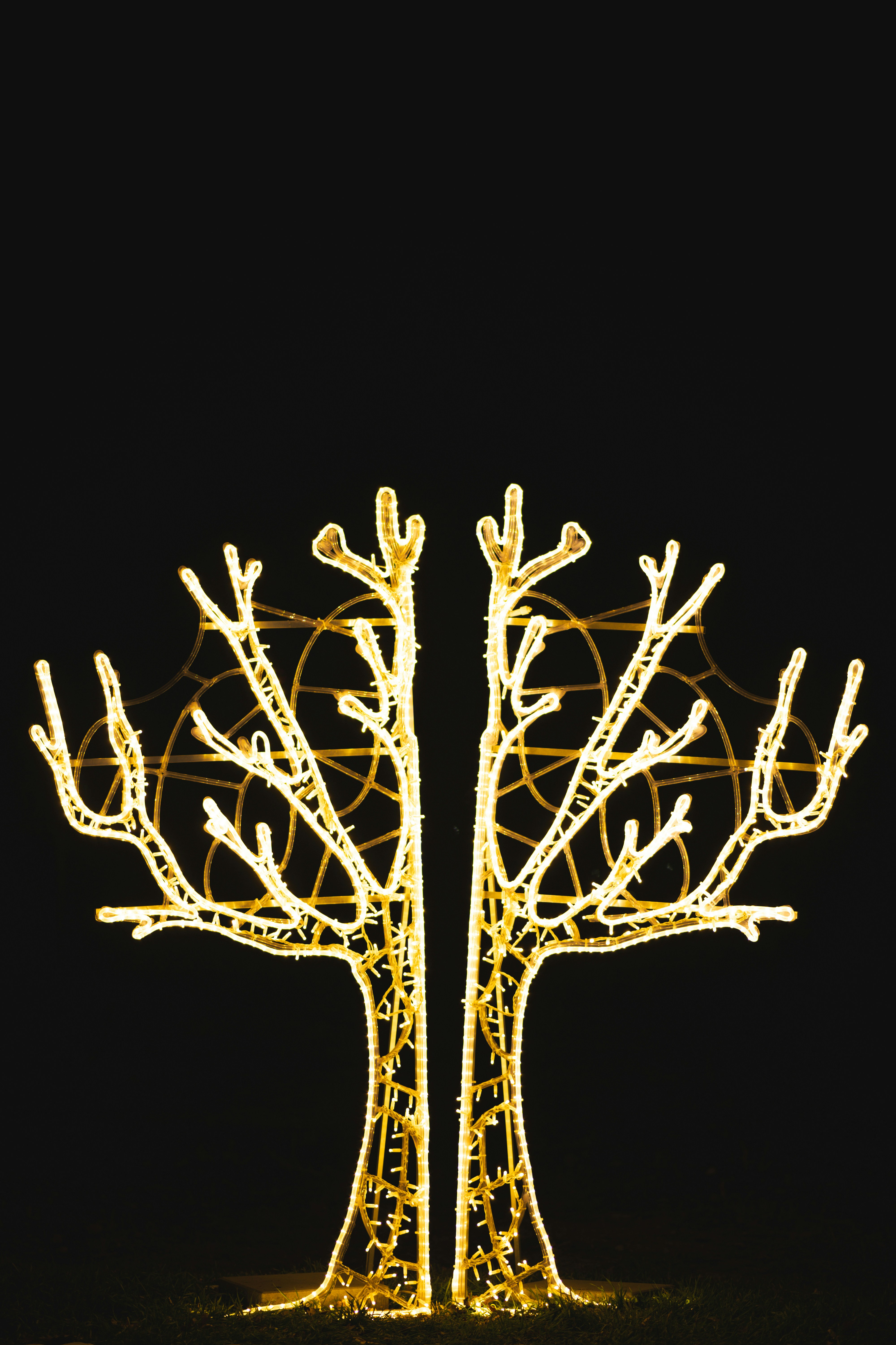 Photo by lukasparnican