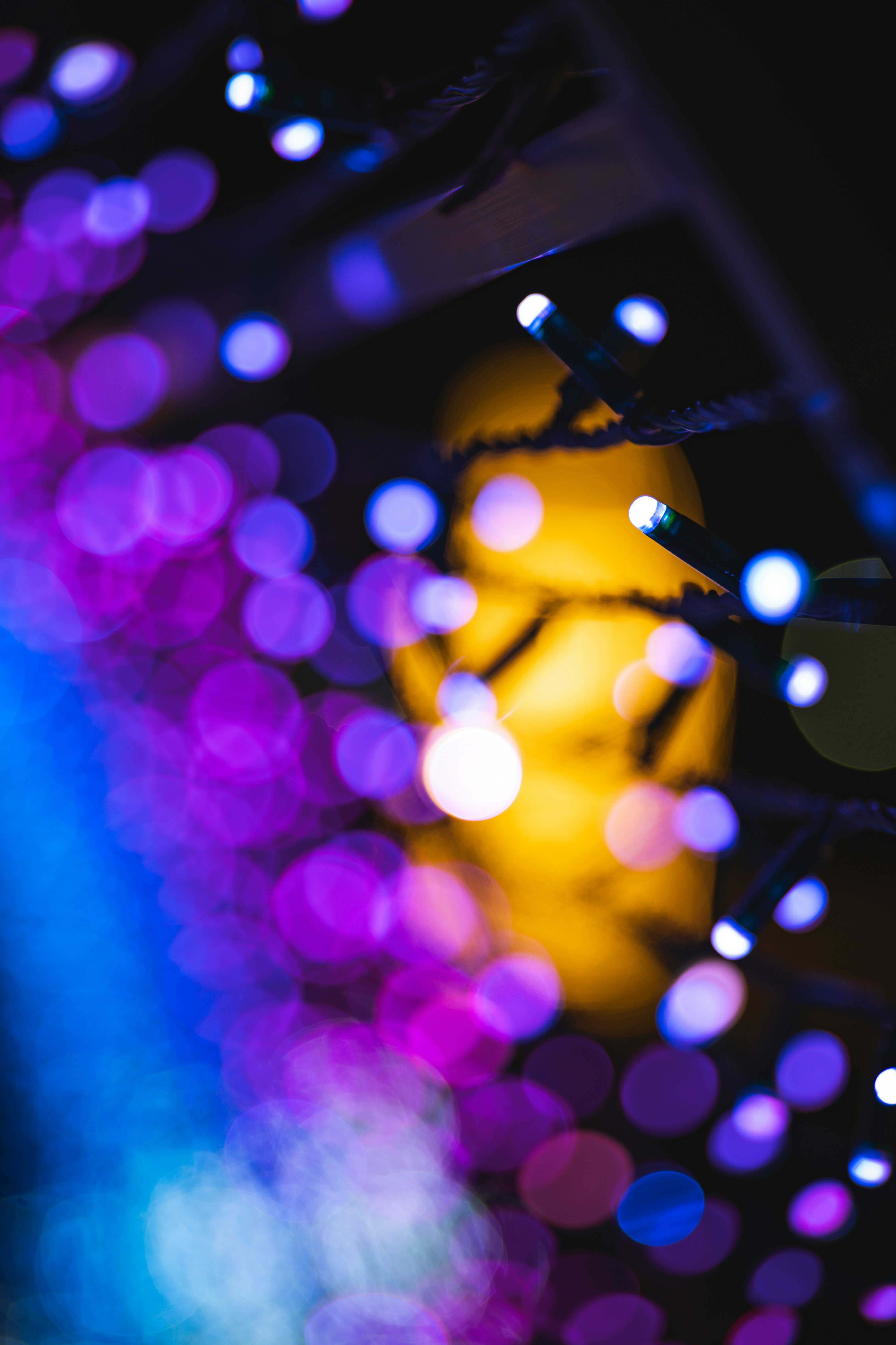 Photo by lukasparnican