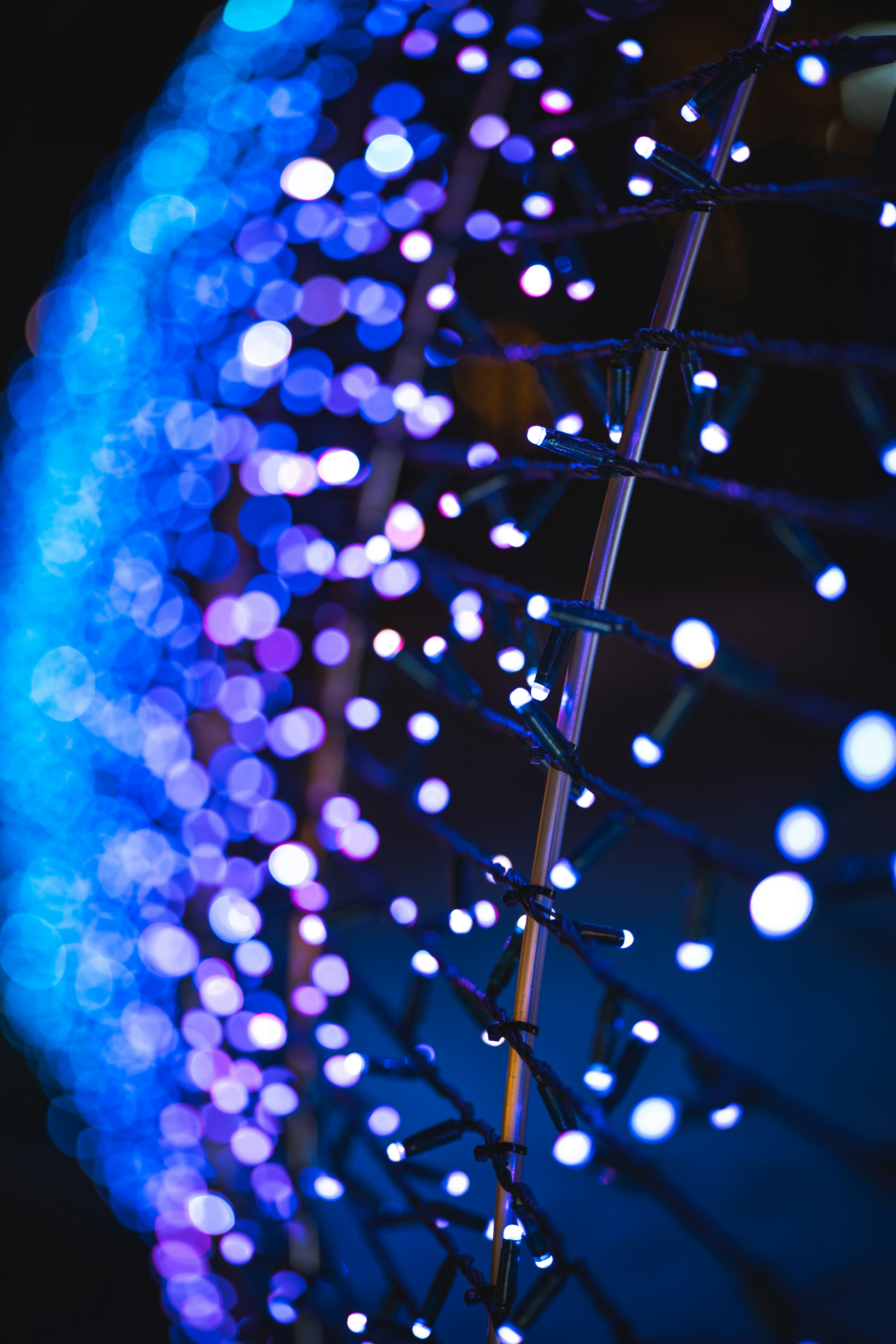 Photo by lukasparnican