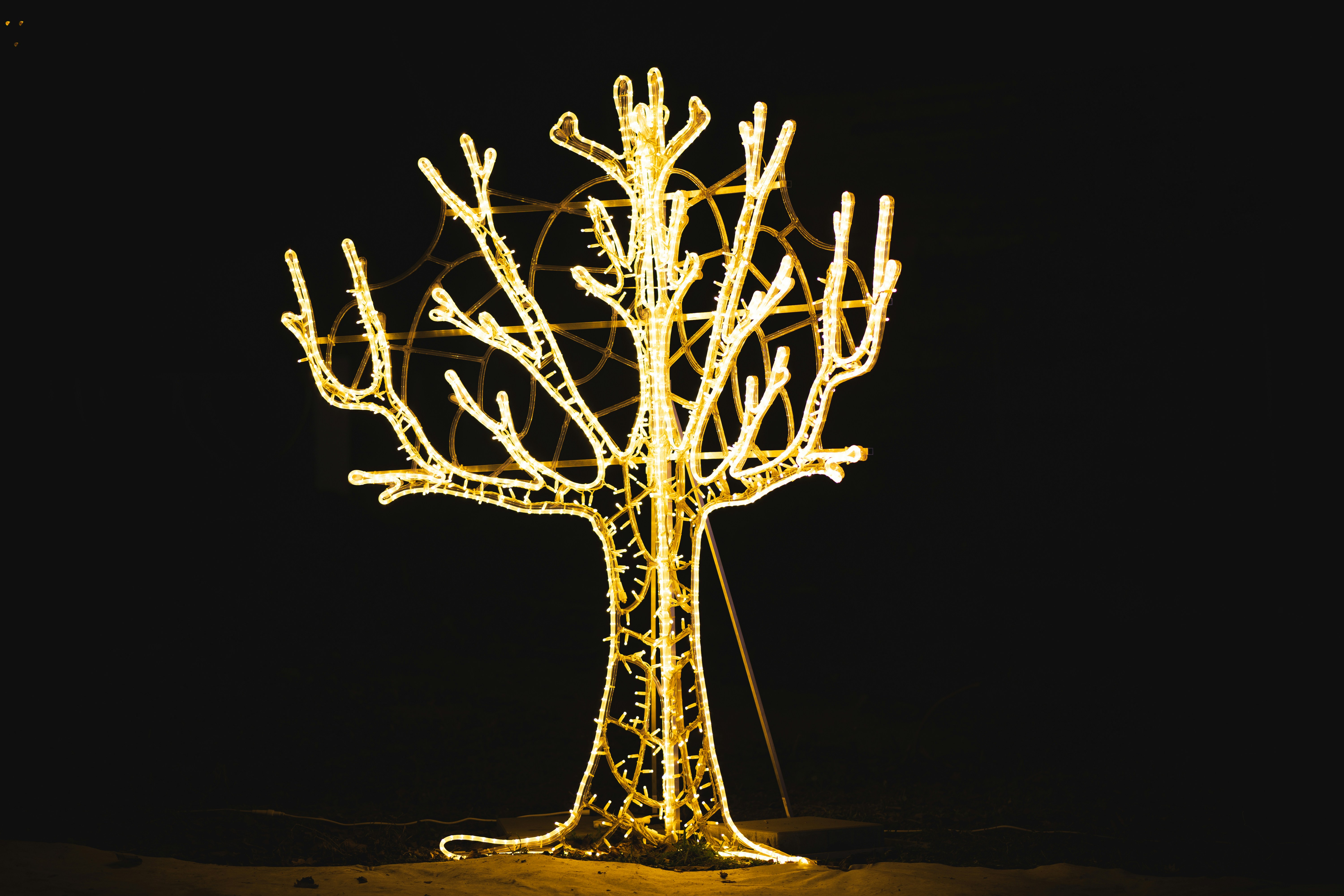 Photo by lukasparnican