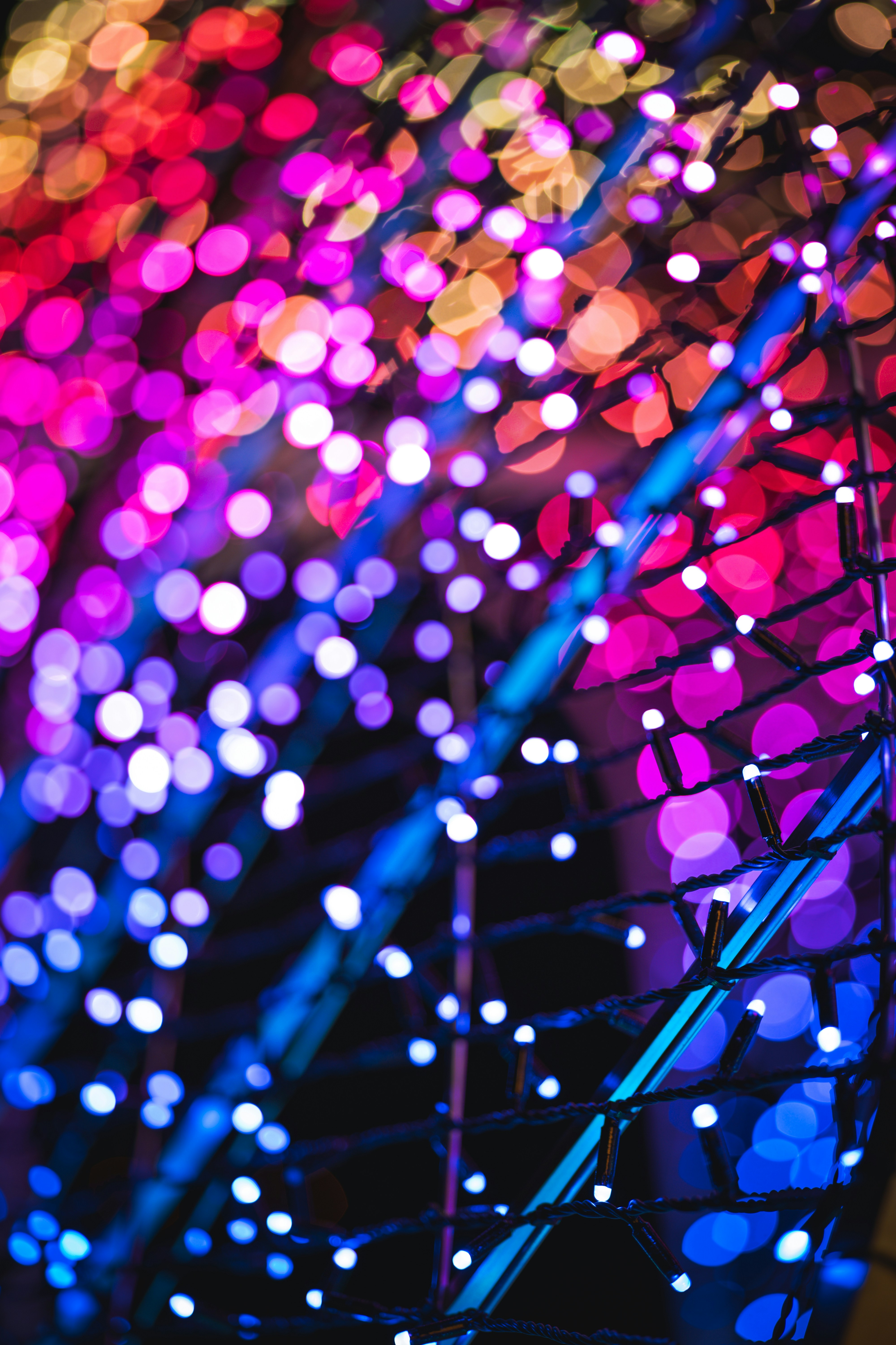 Photo by lukasparnican