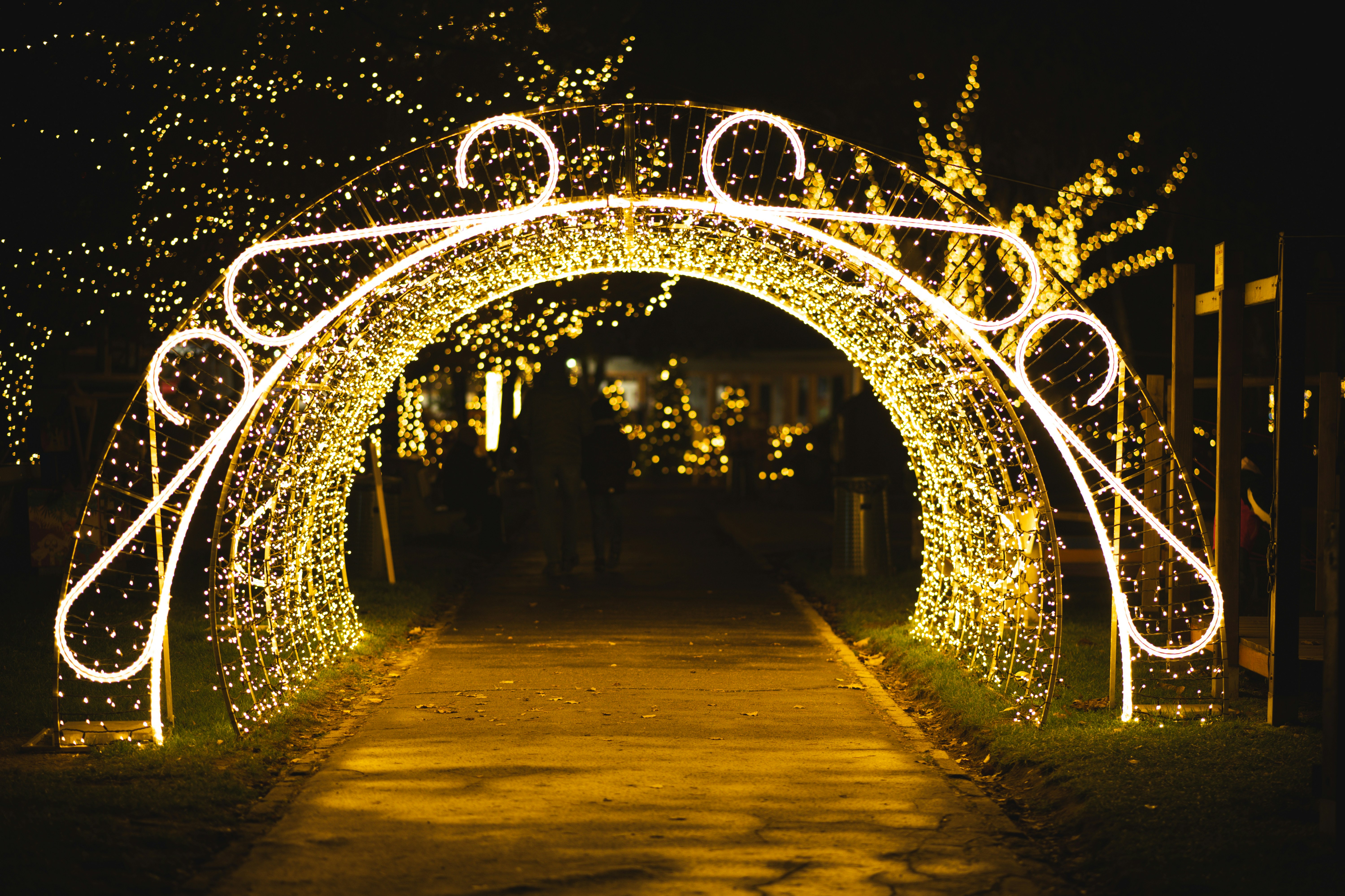 Photo by lukasparnican