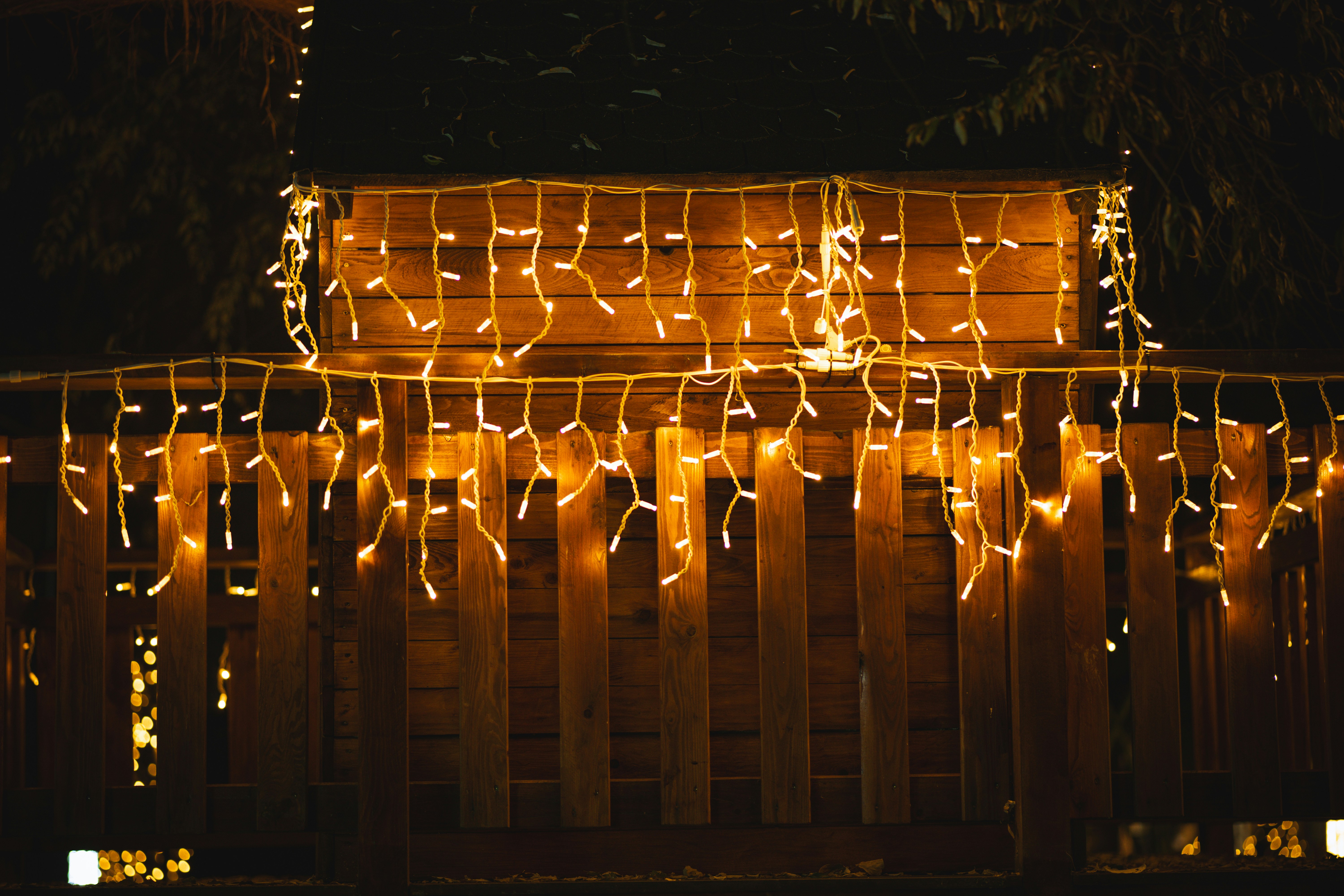 Photo by lukasparnican