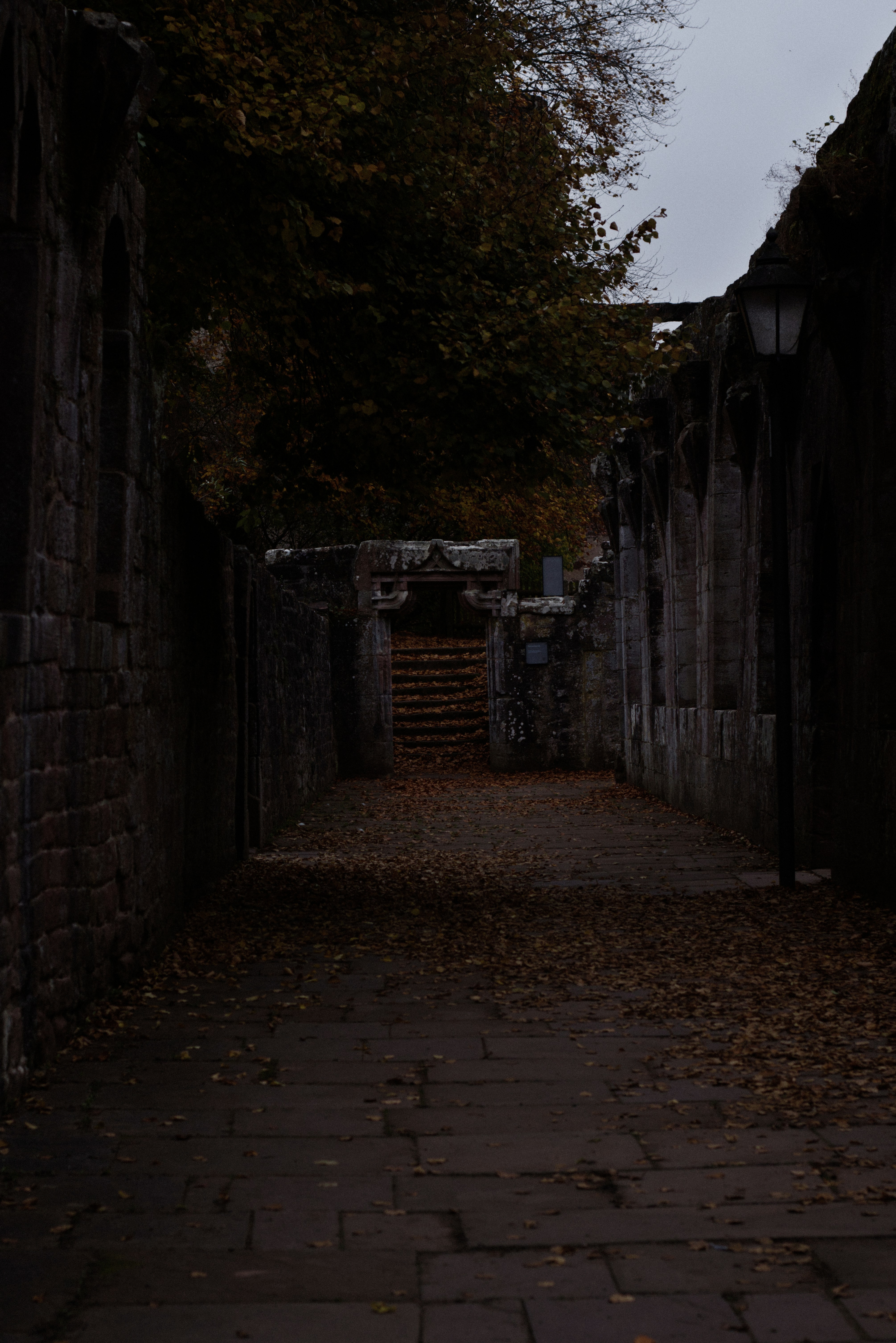 Photo by softlyglimmer