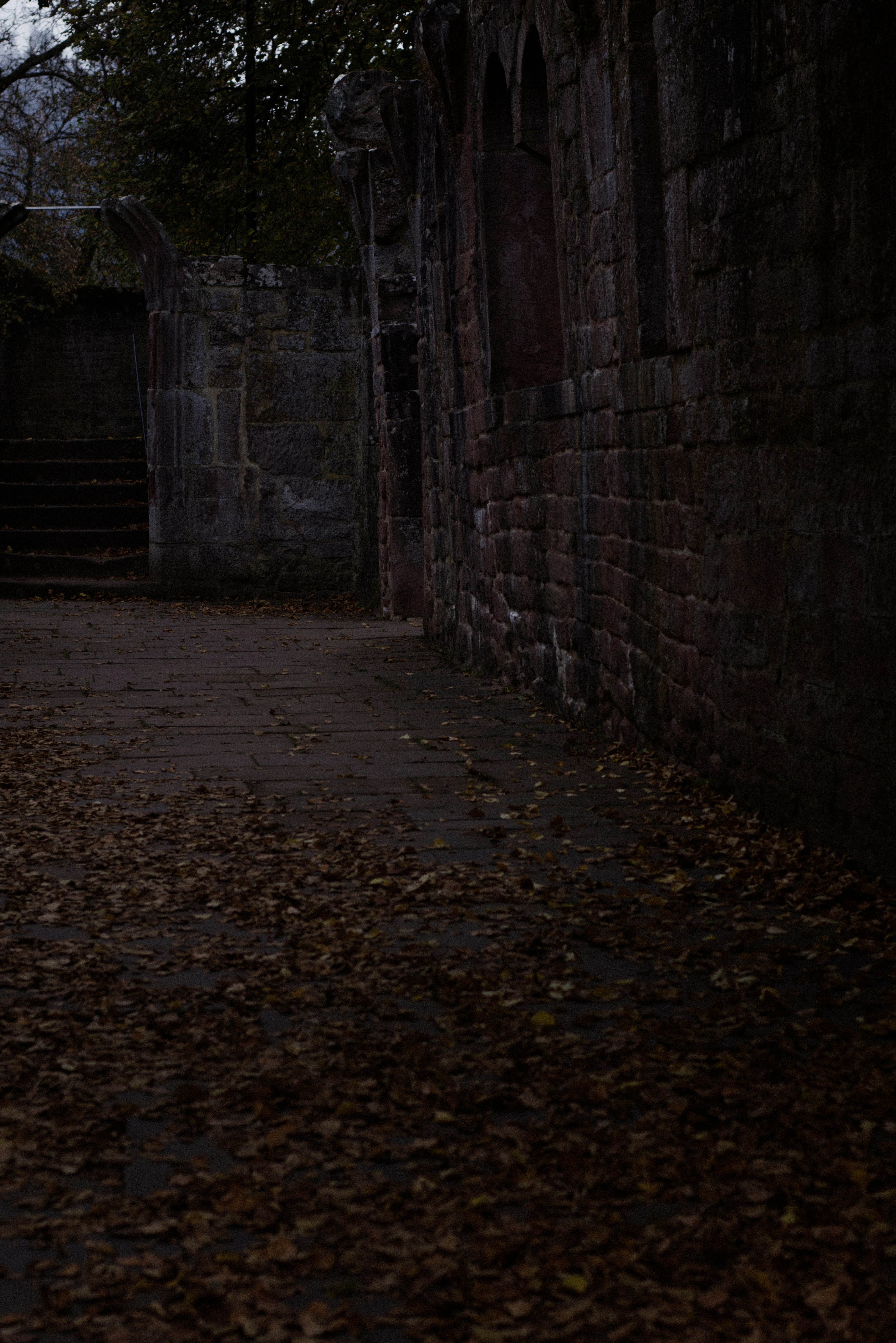 Photo by softlyglimmer