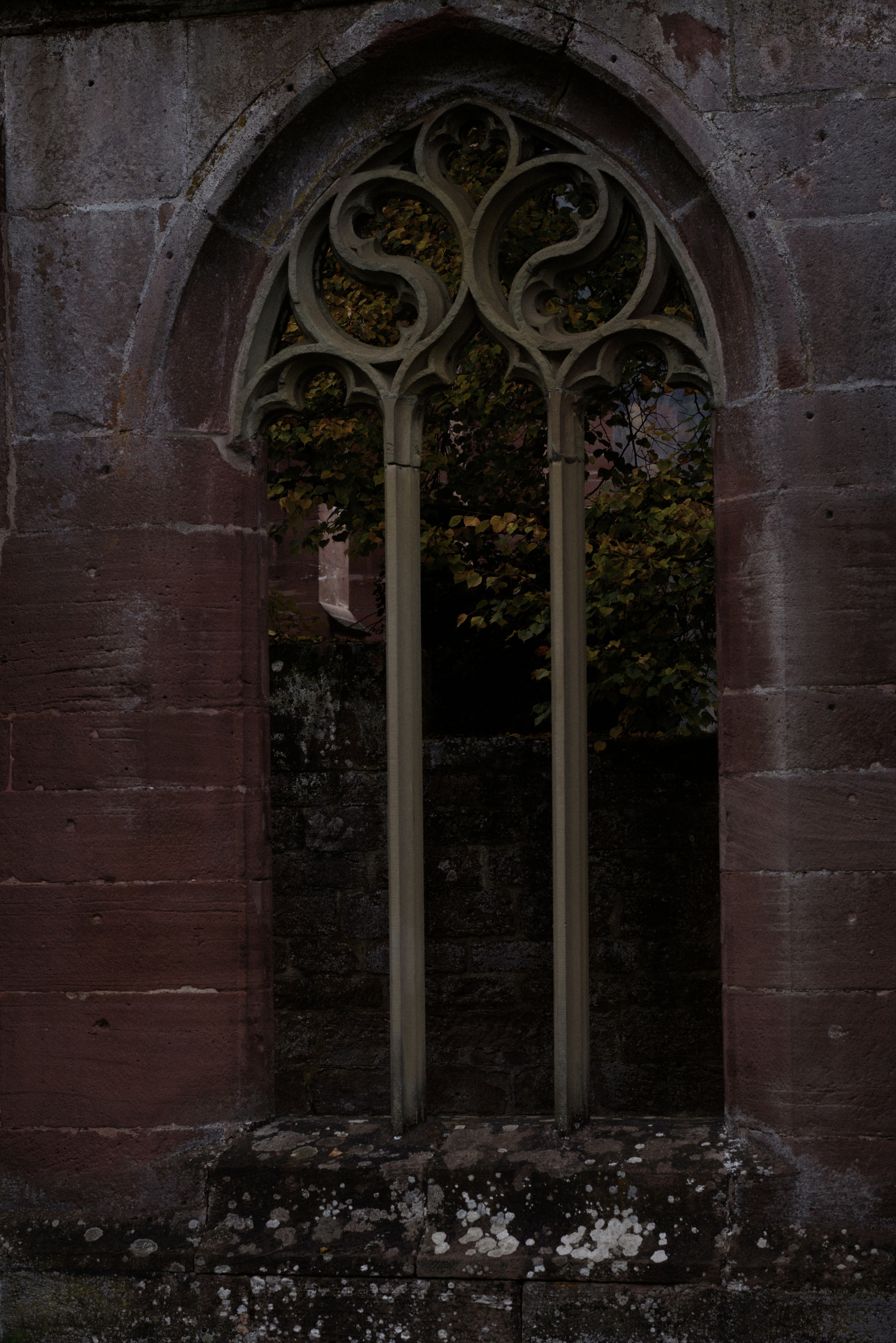 Photo by softlyglimmer