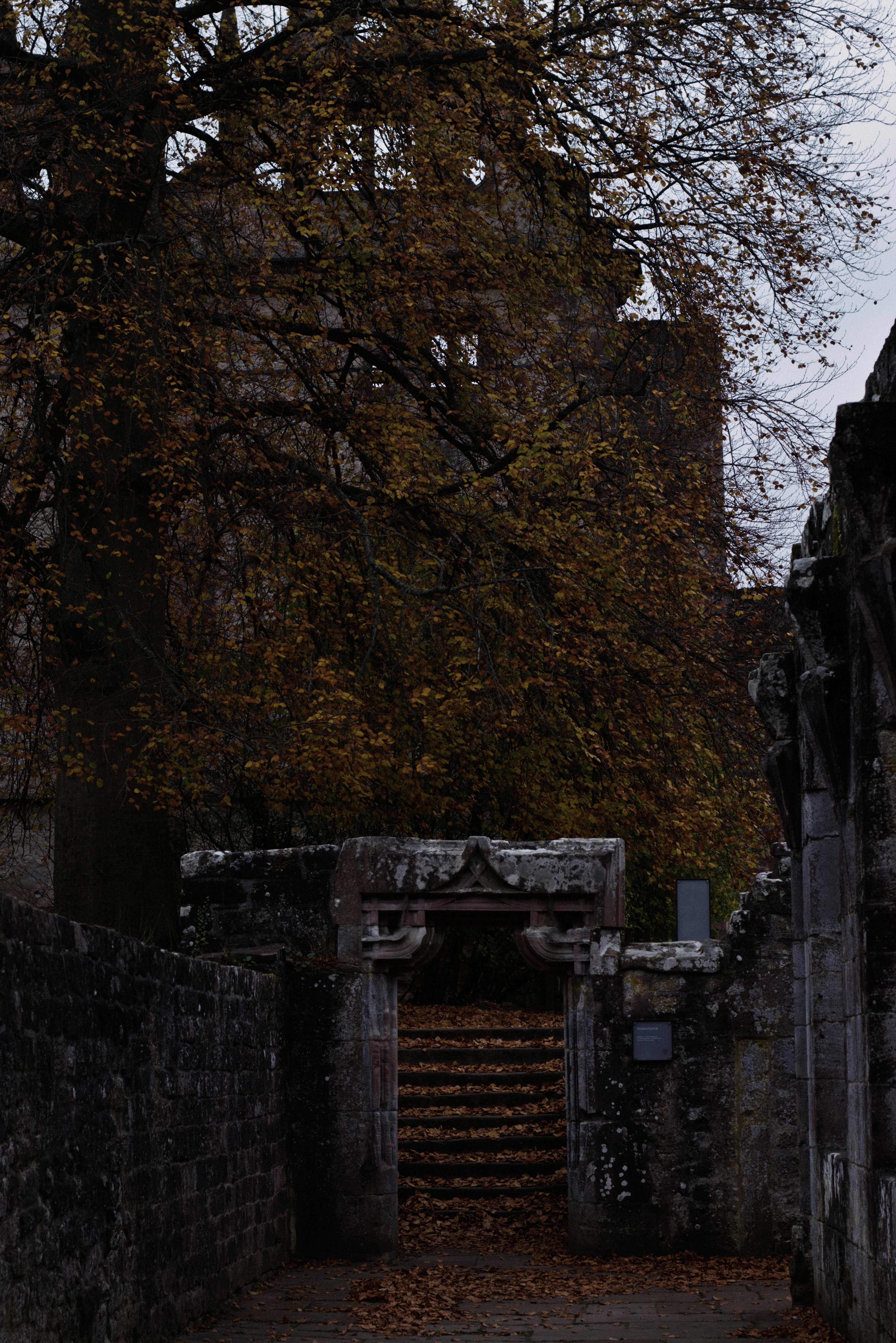 Photo by softlyglimmer