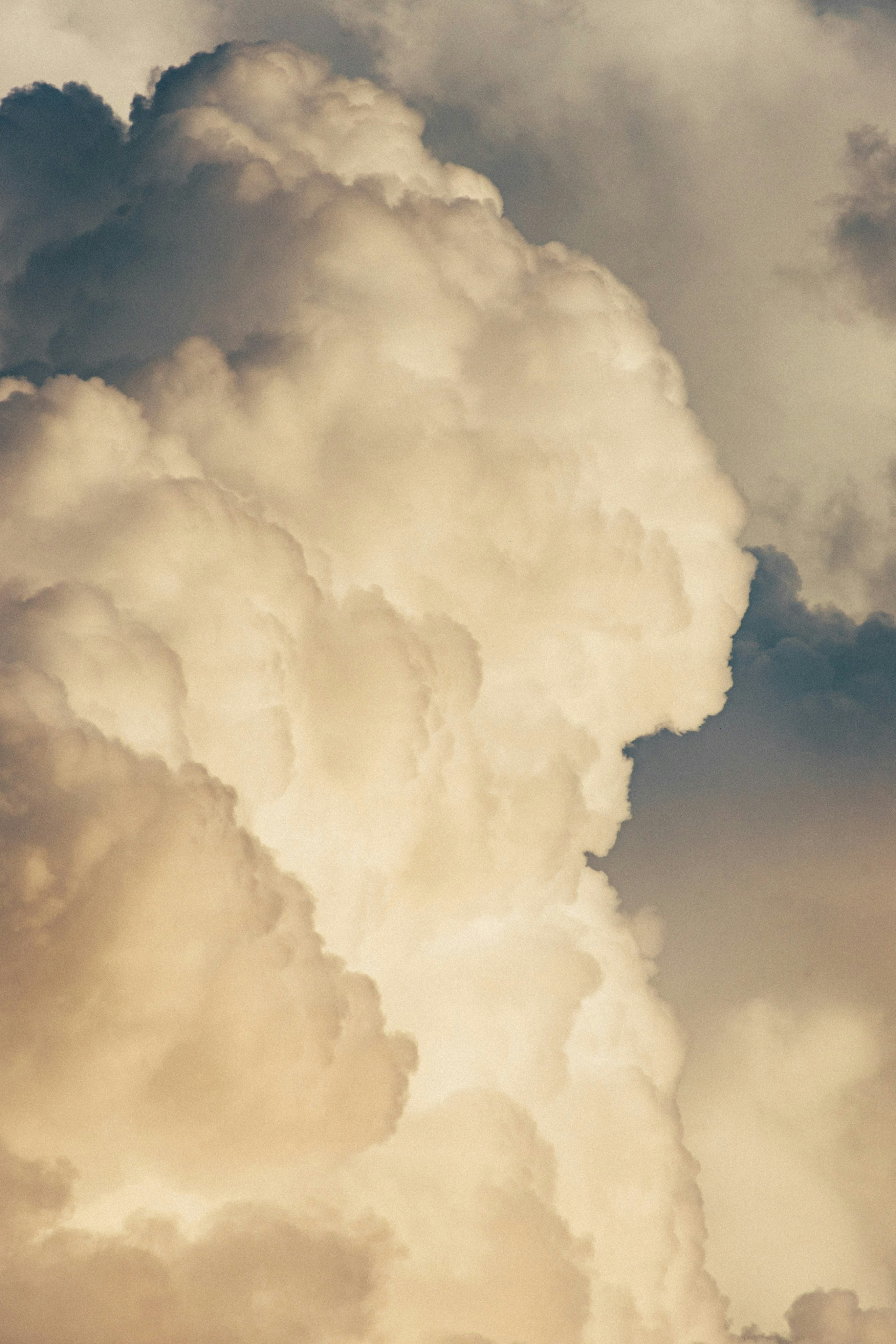 Photo by tsuyoshikozu