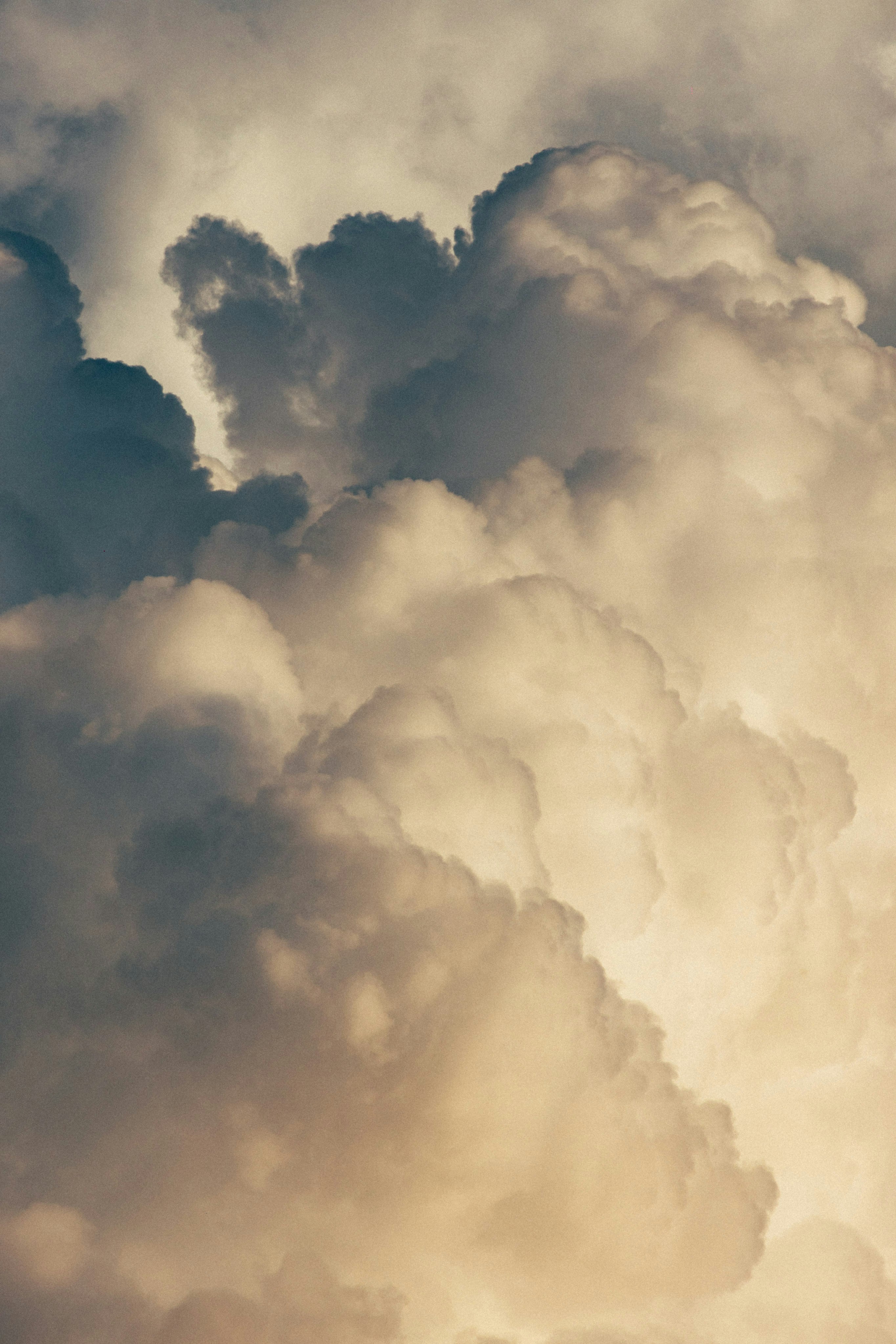 Photo by tsuyoshikozu