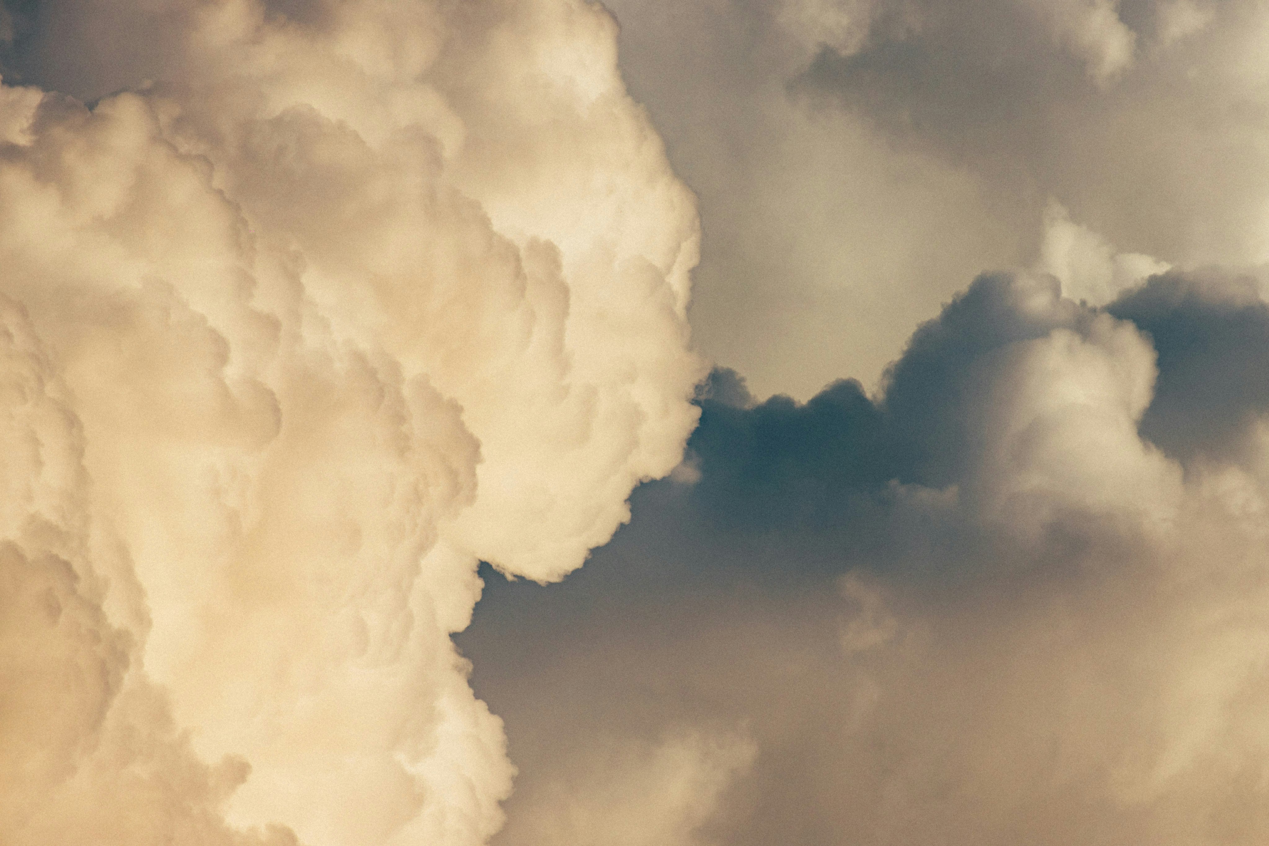 Photo by tsuyoshikozu