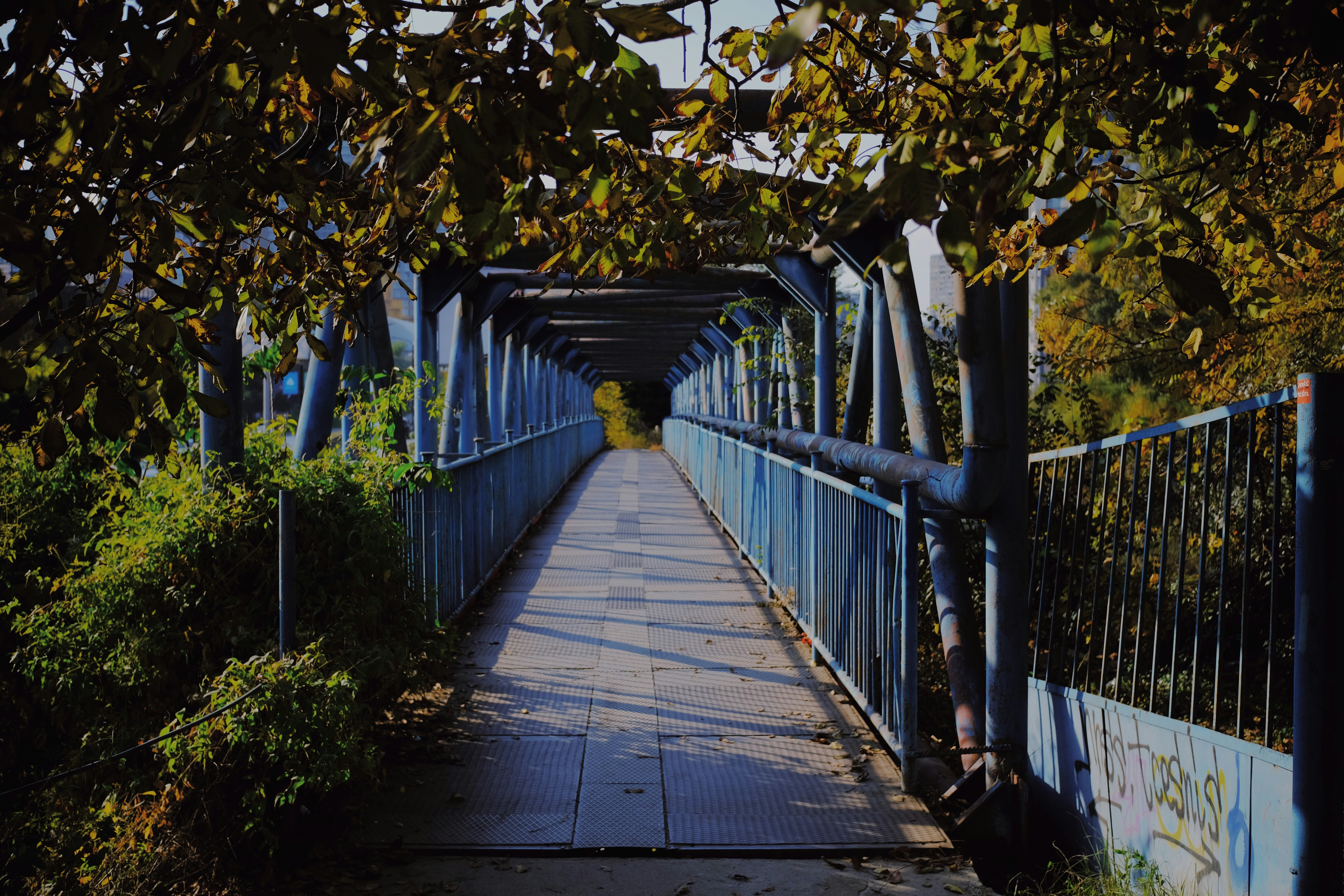 Photo by sesambrotchen