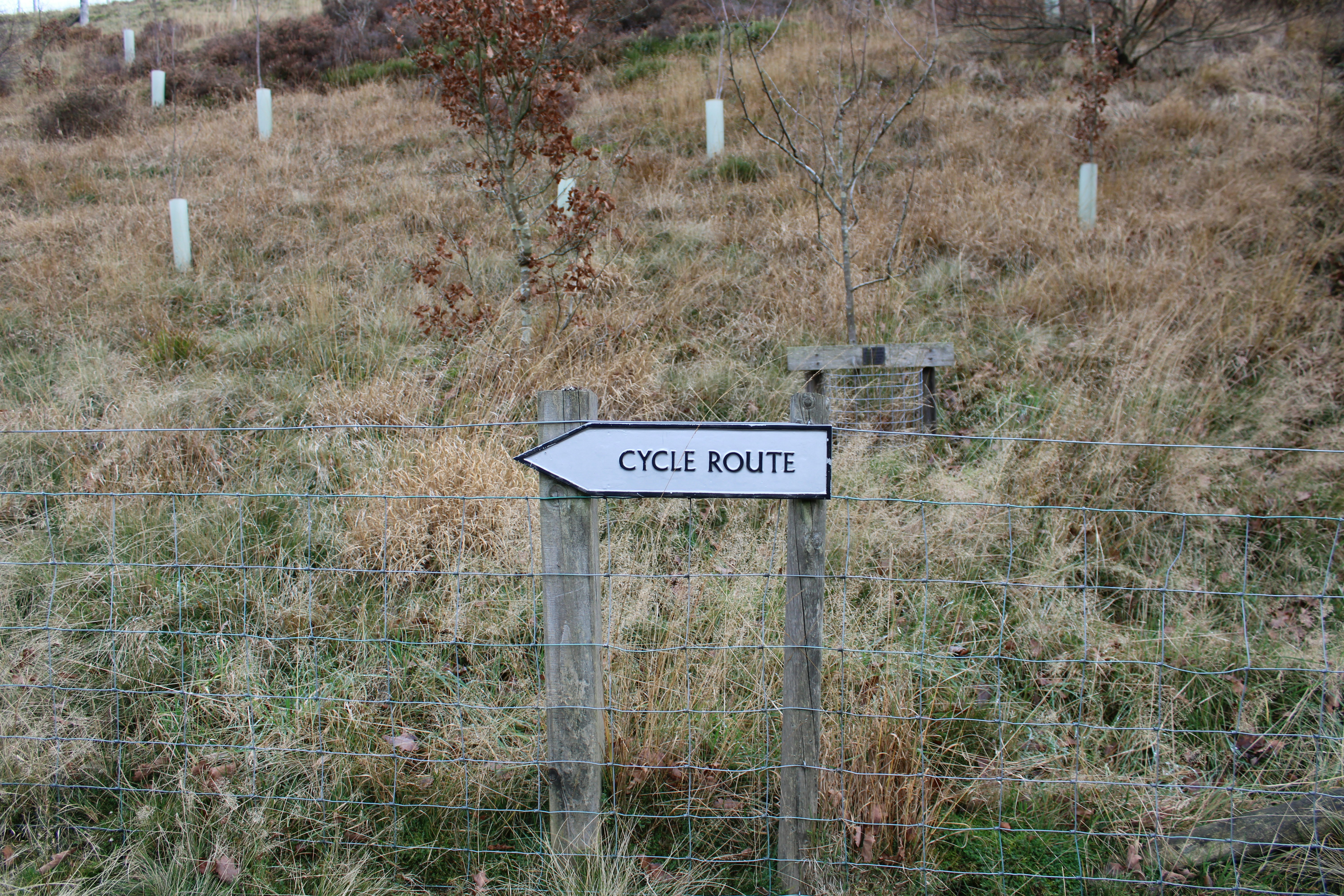 Five Cycling Routes from Bruges