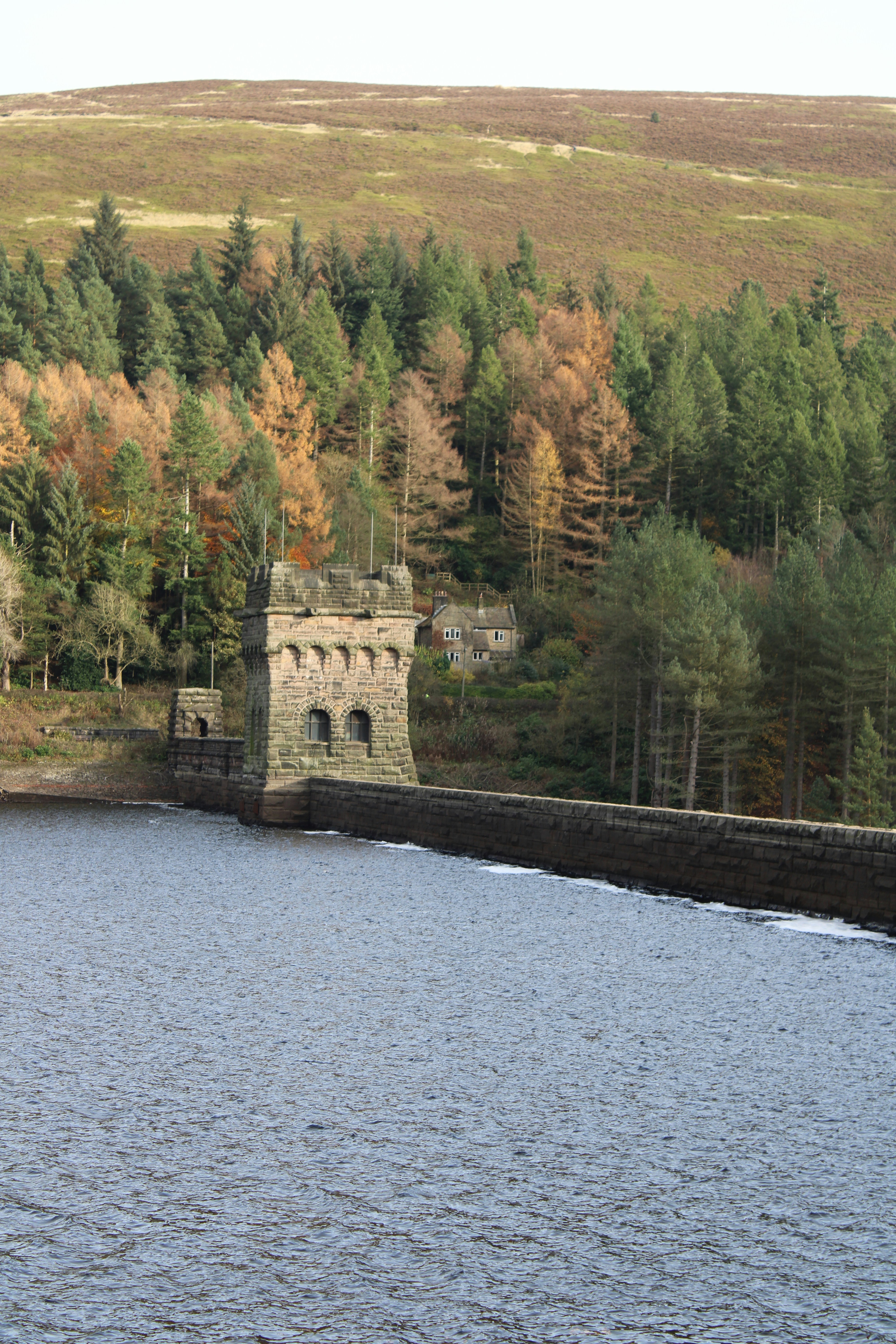 Un grande specchio d'acqua circondato da una foresta