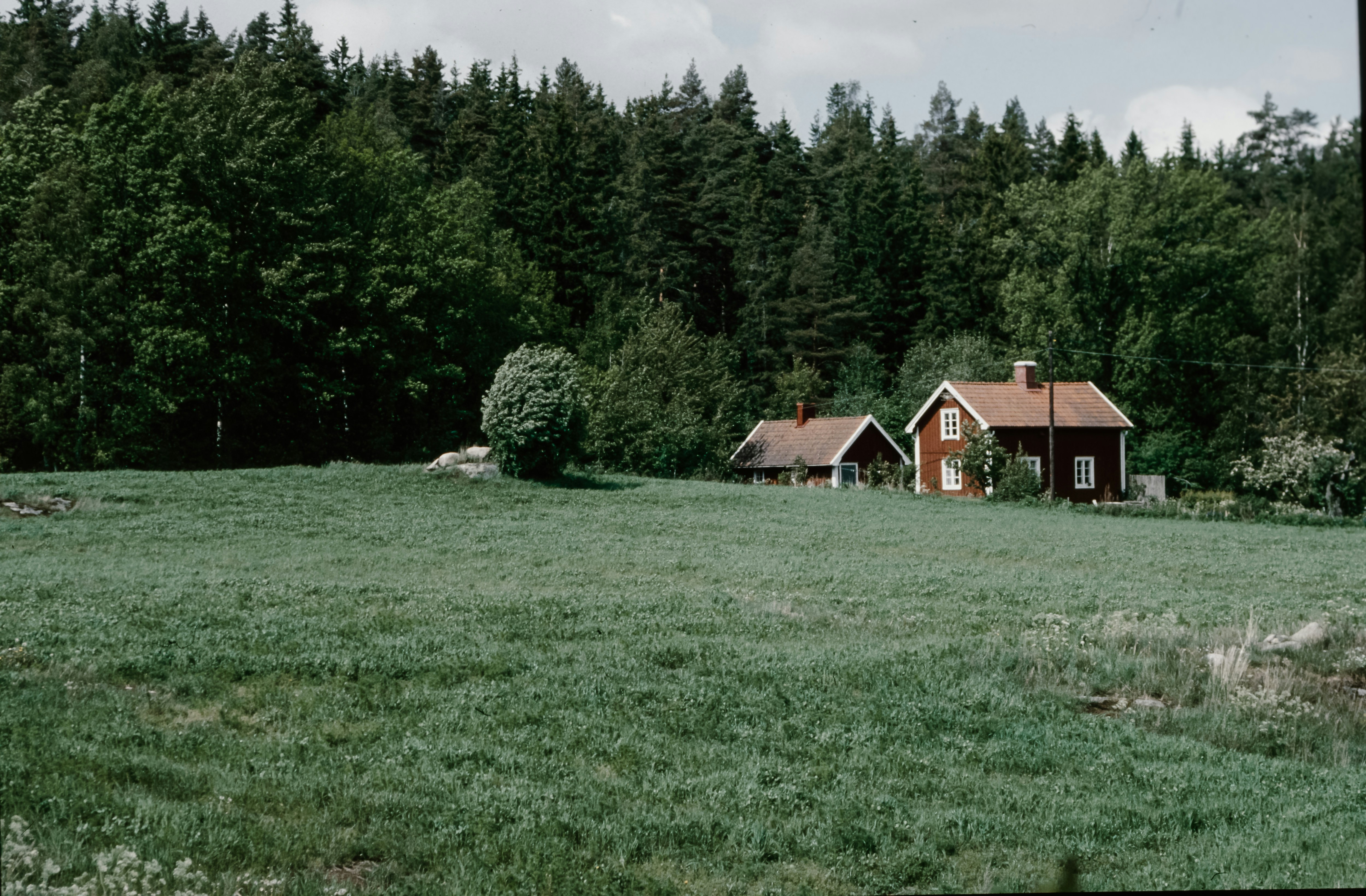 Photo by anniespratt