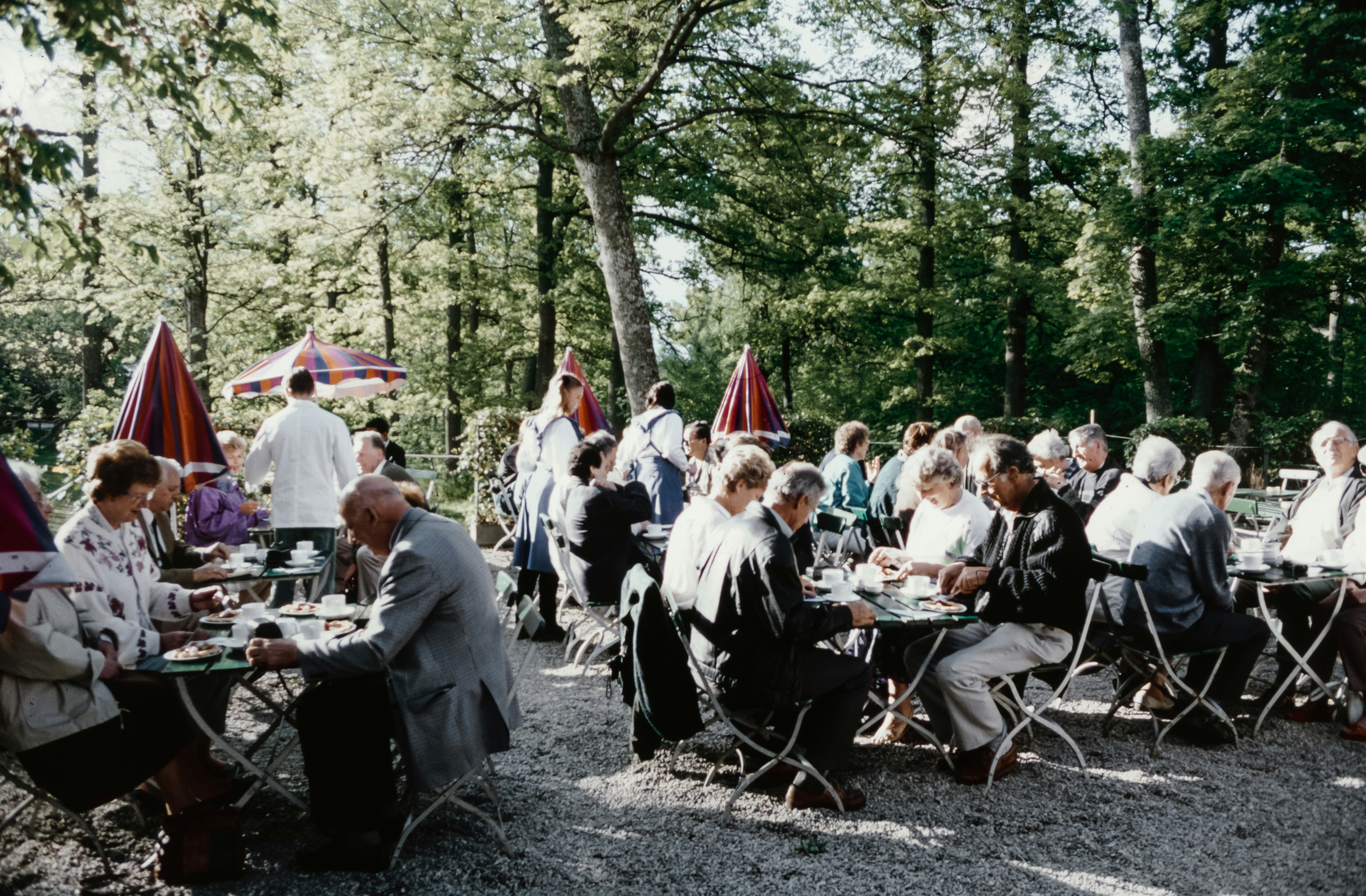 Eine Gruppe von Menschen, die an Picknicktischen im Wald sitzen