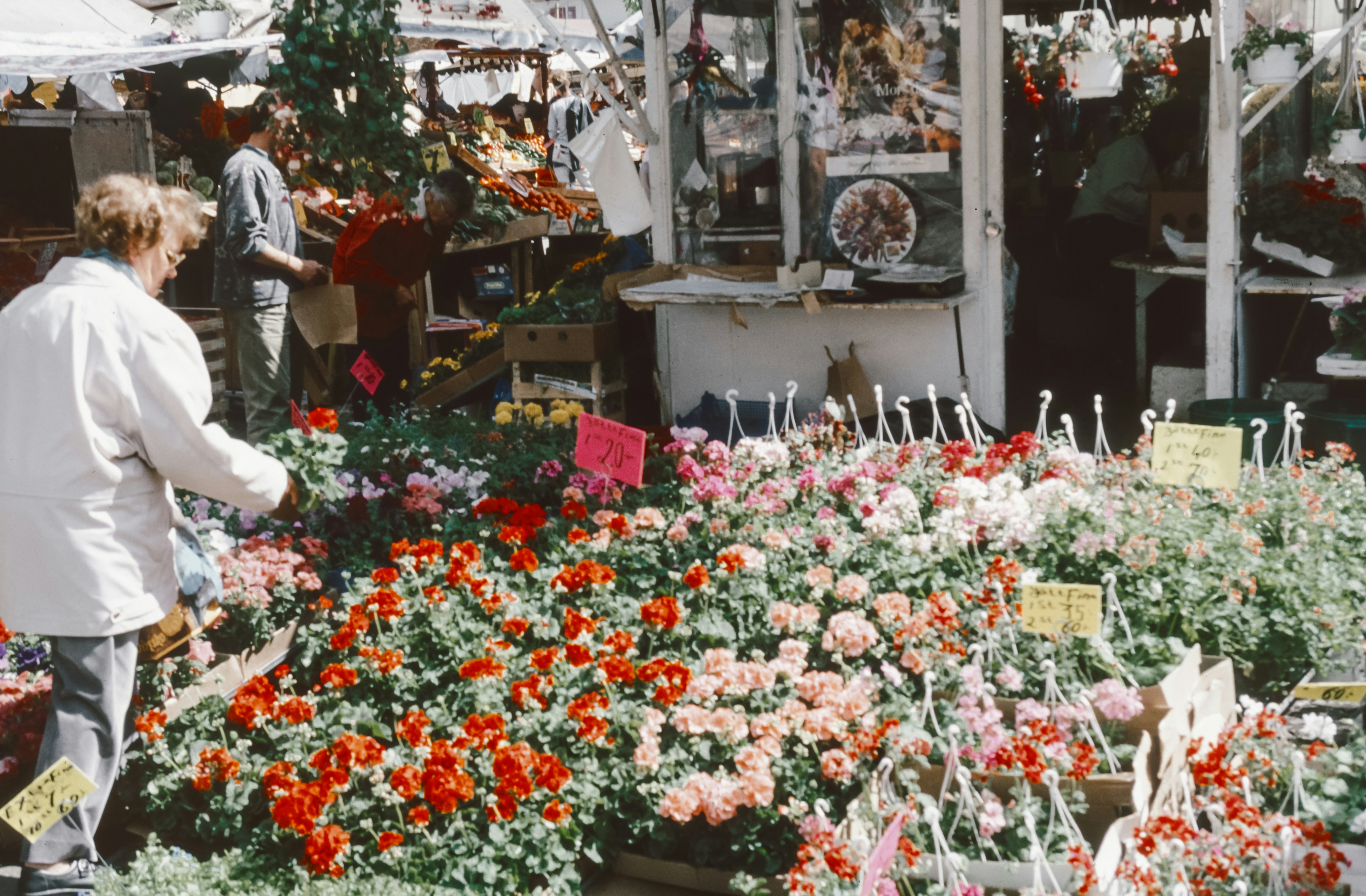 Woman shopping at flower shop