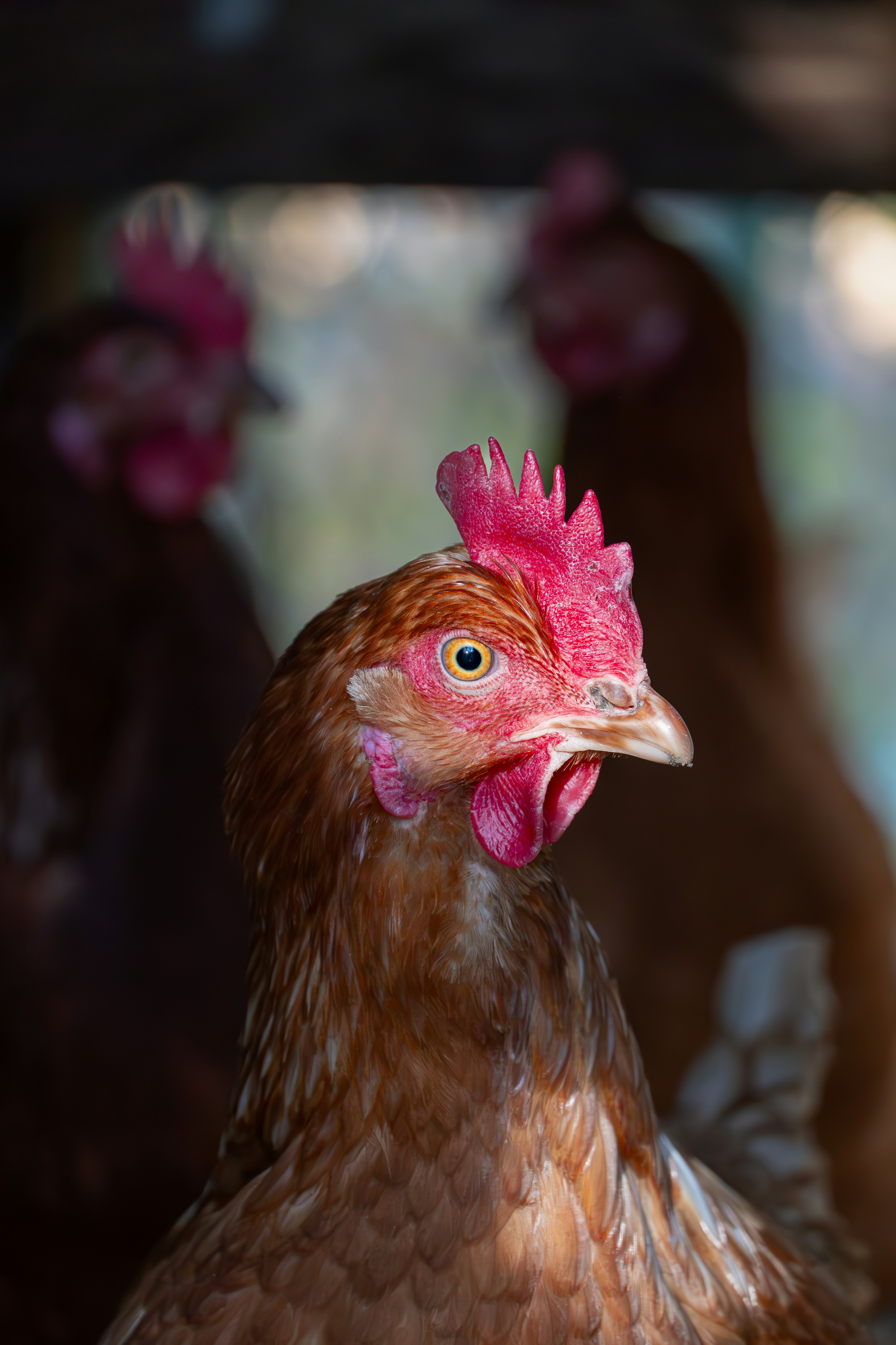 Photo by tog_photography