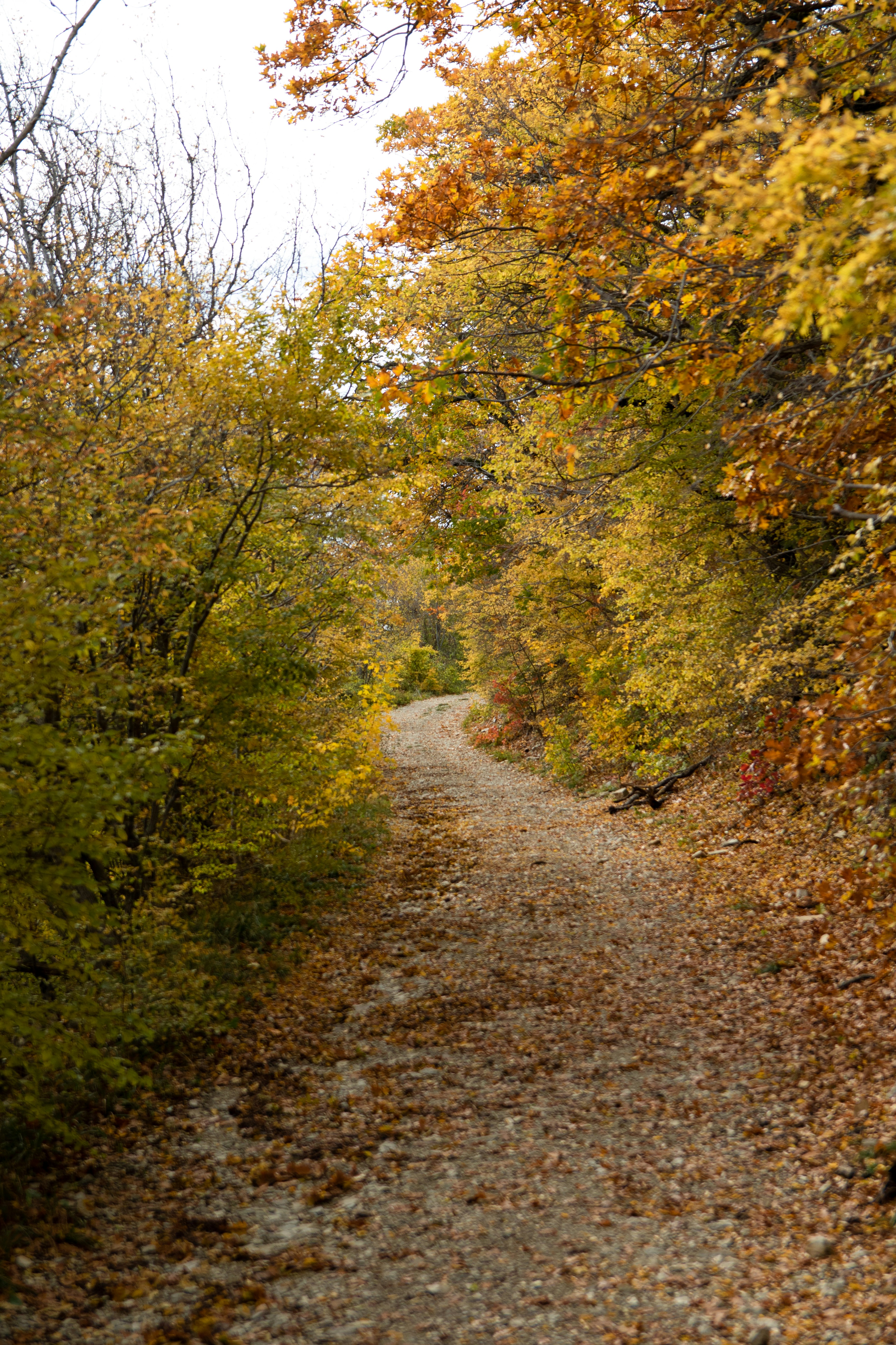 Photo by maksimzaviktorin