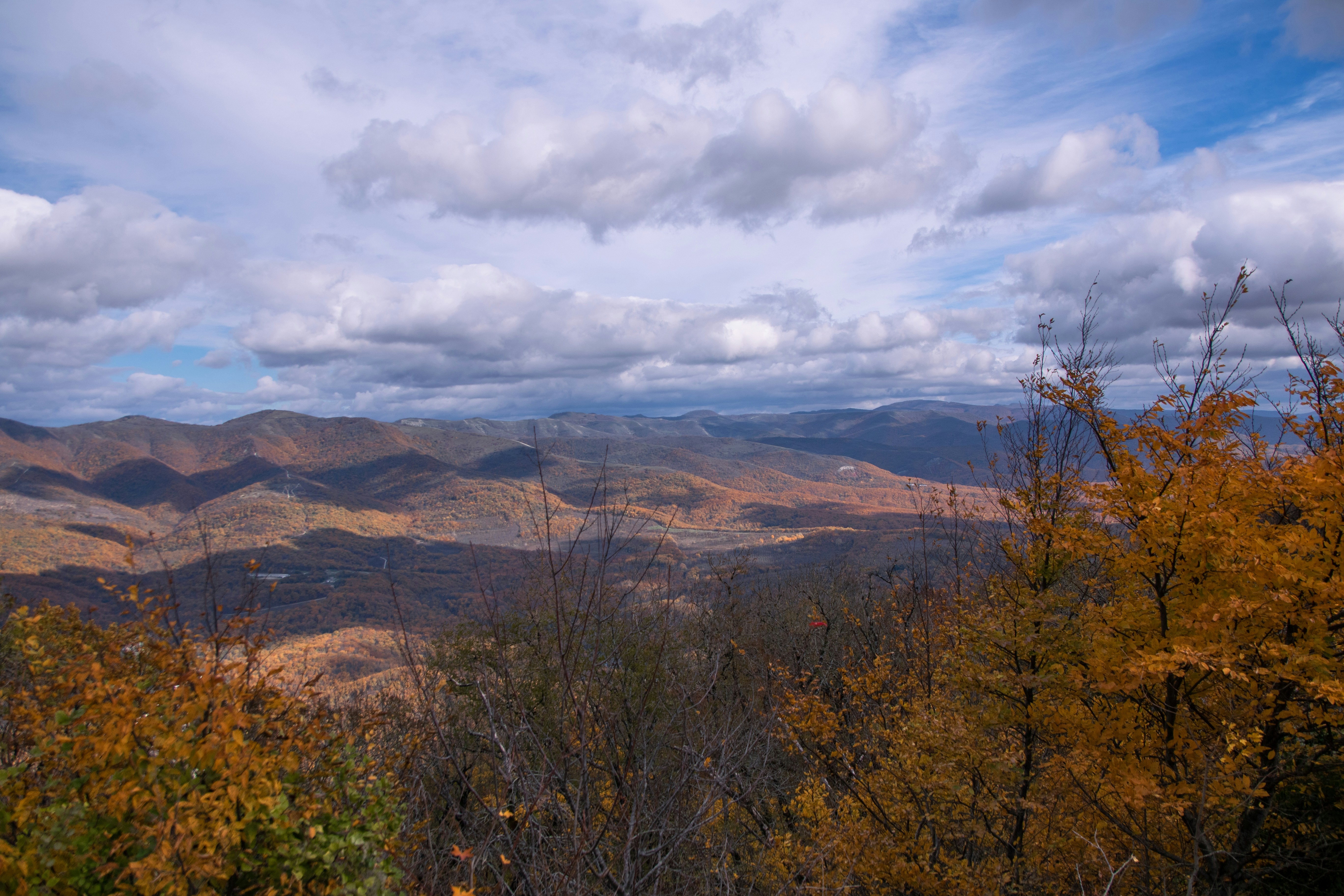 Photo by maksimzaviktorin