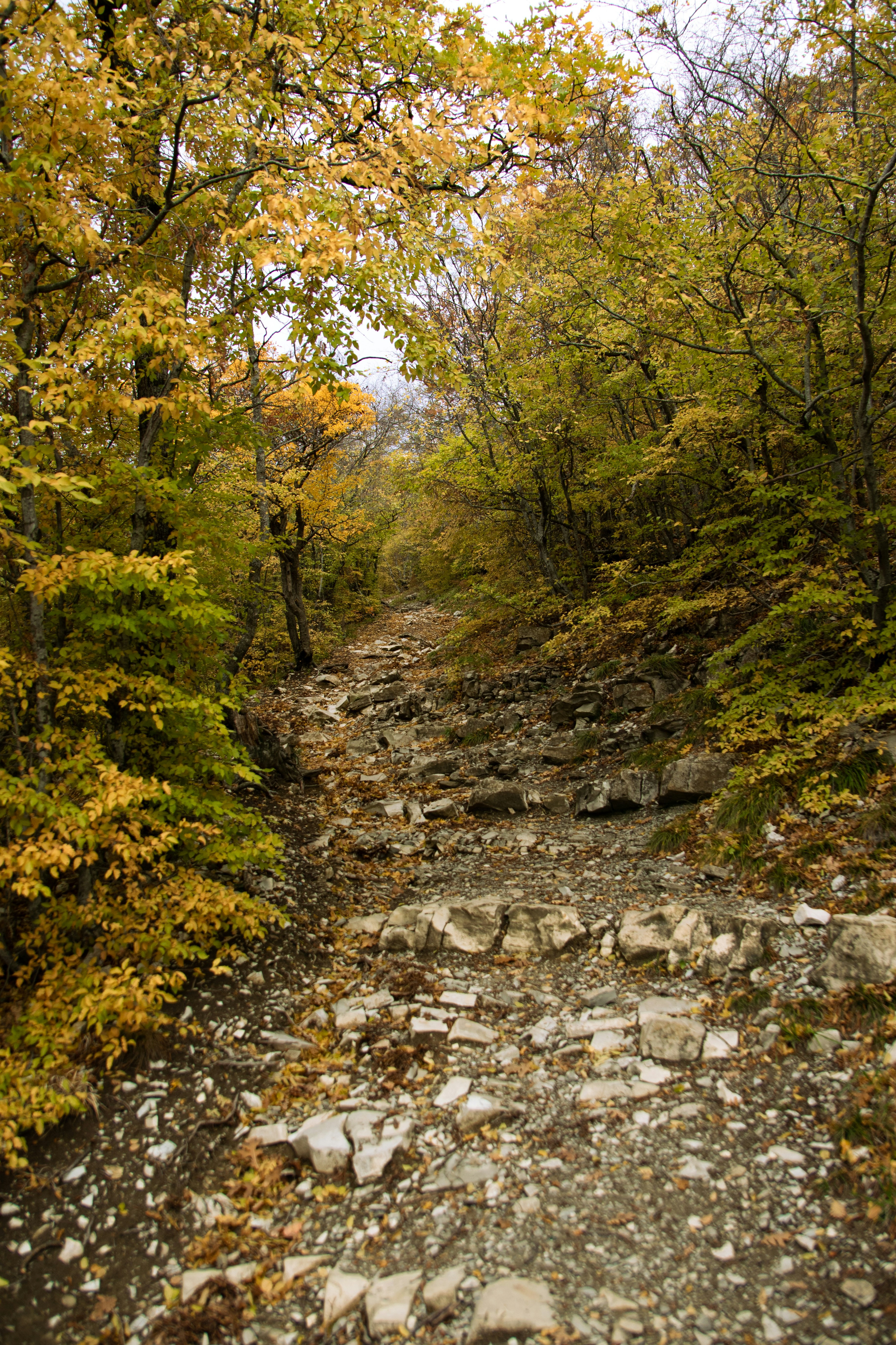 Photo by maksimzaviktorin