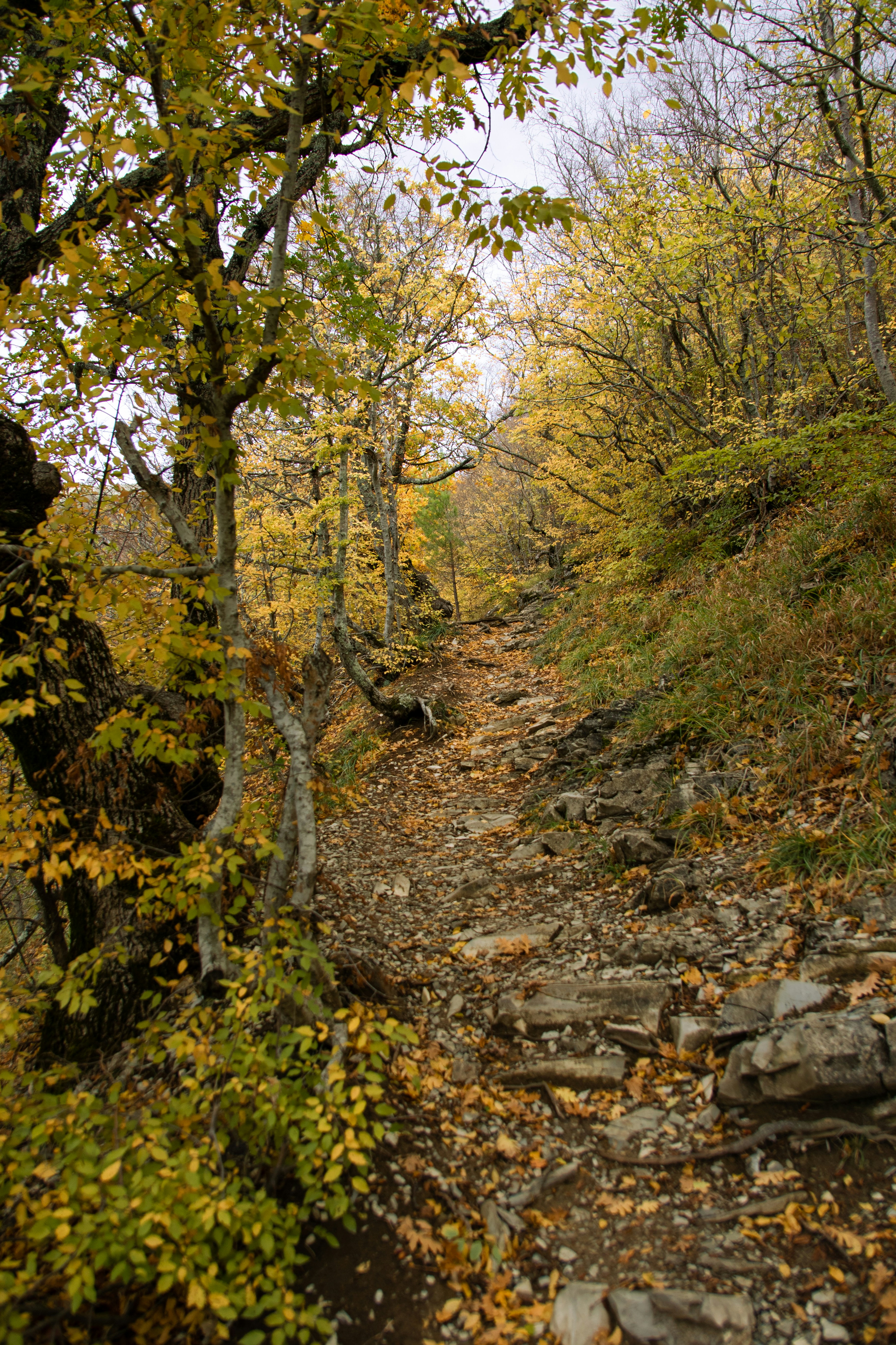 Photo by maksimzaviktorin