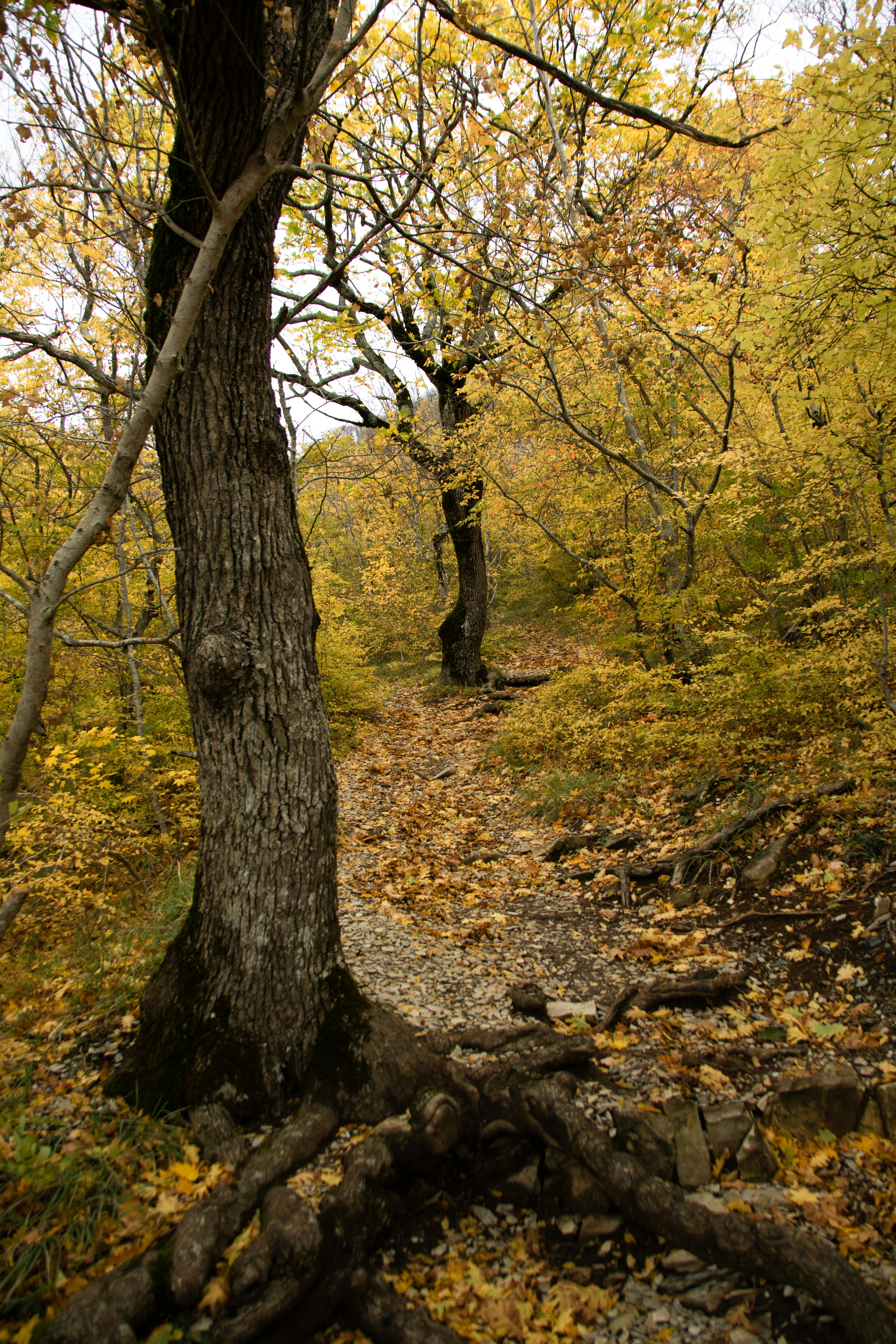 Photo by maksimzaviktorin