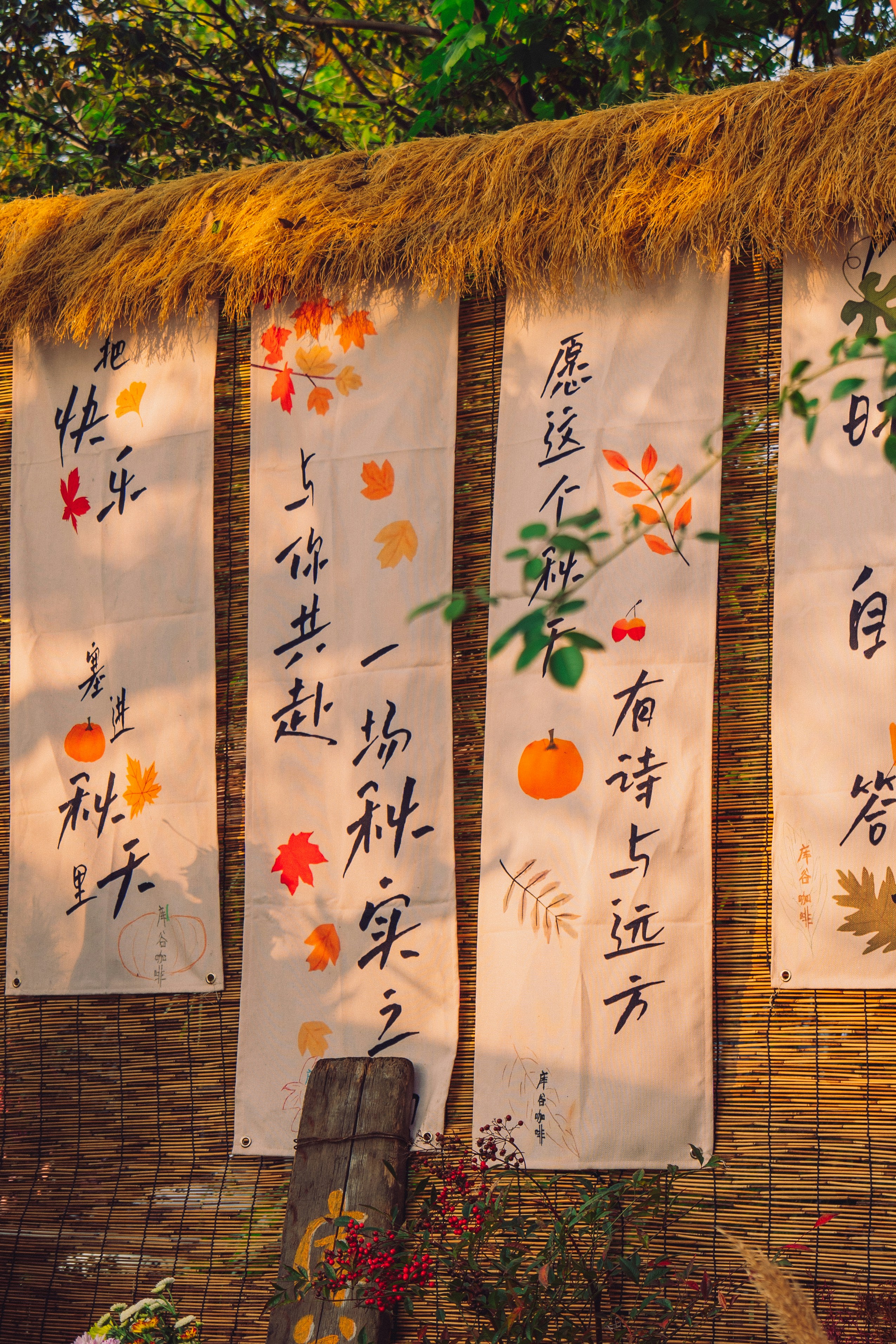 traditional medicine wallpaper, wallpaper, 5 Titik Bekam dan Manfaatnya untuk Kesehatan 4