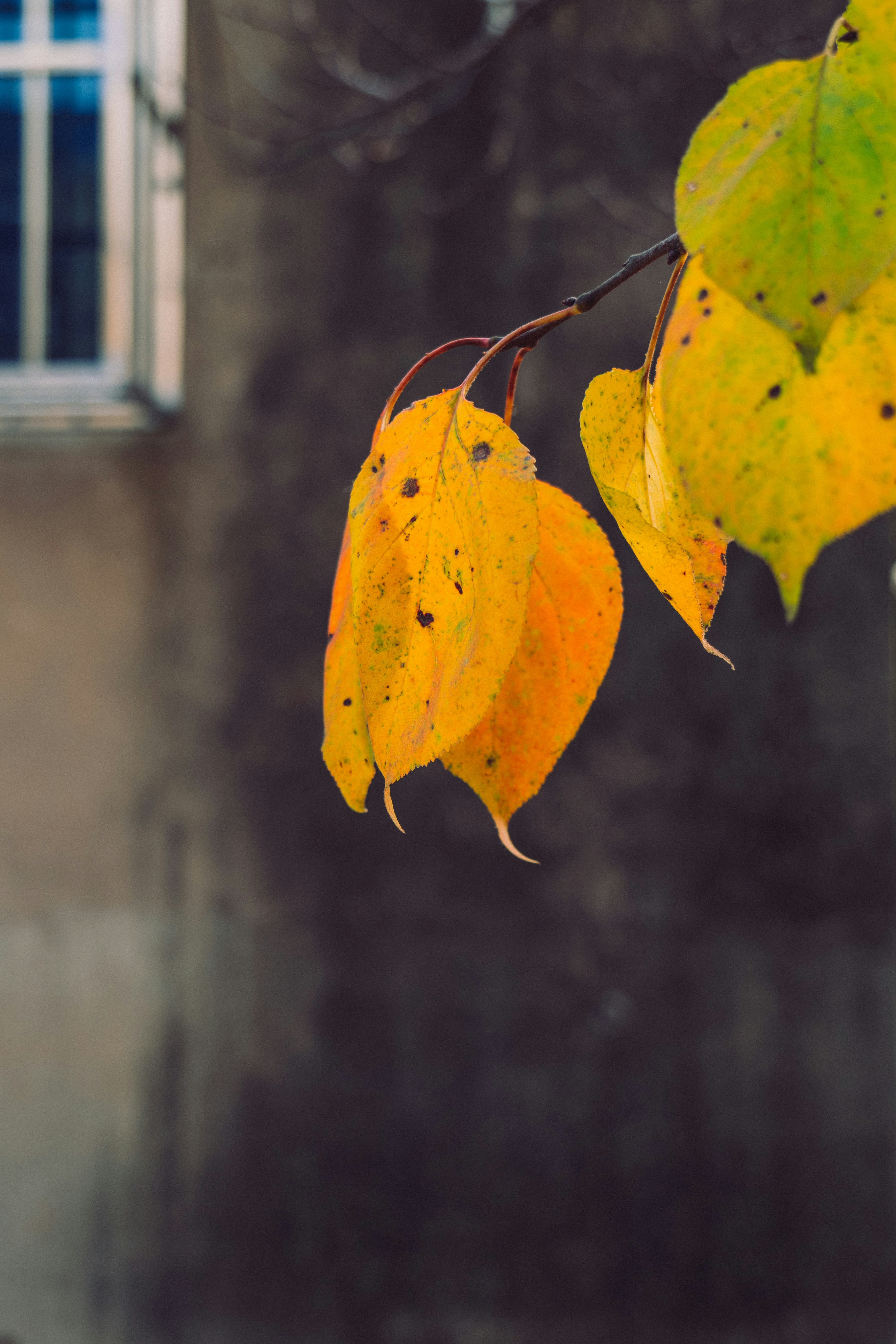 Photo by aasing_gwok