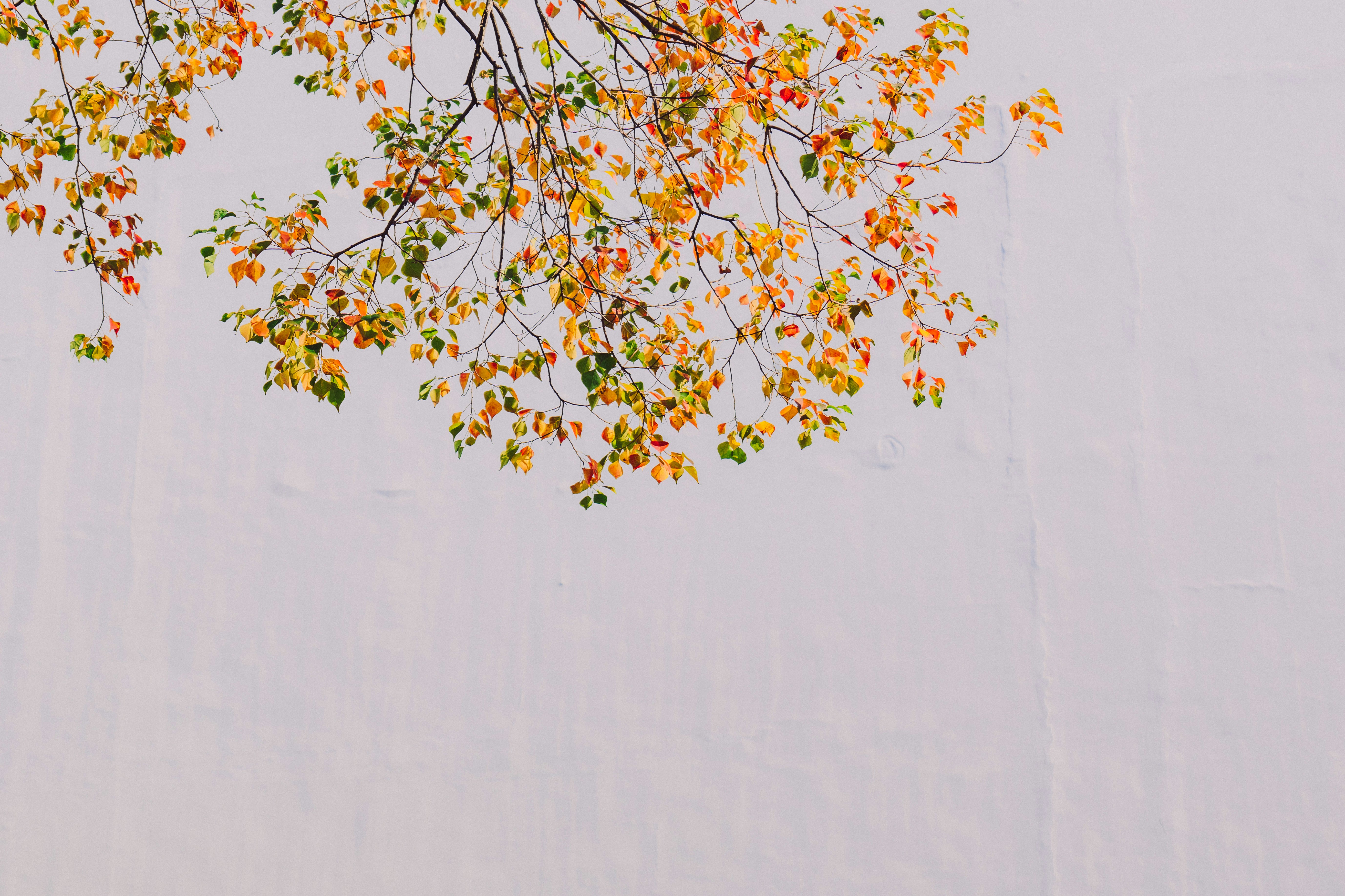 Photo by aasing_gwok