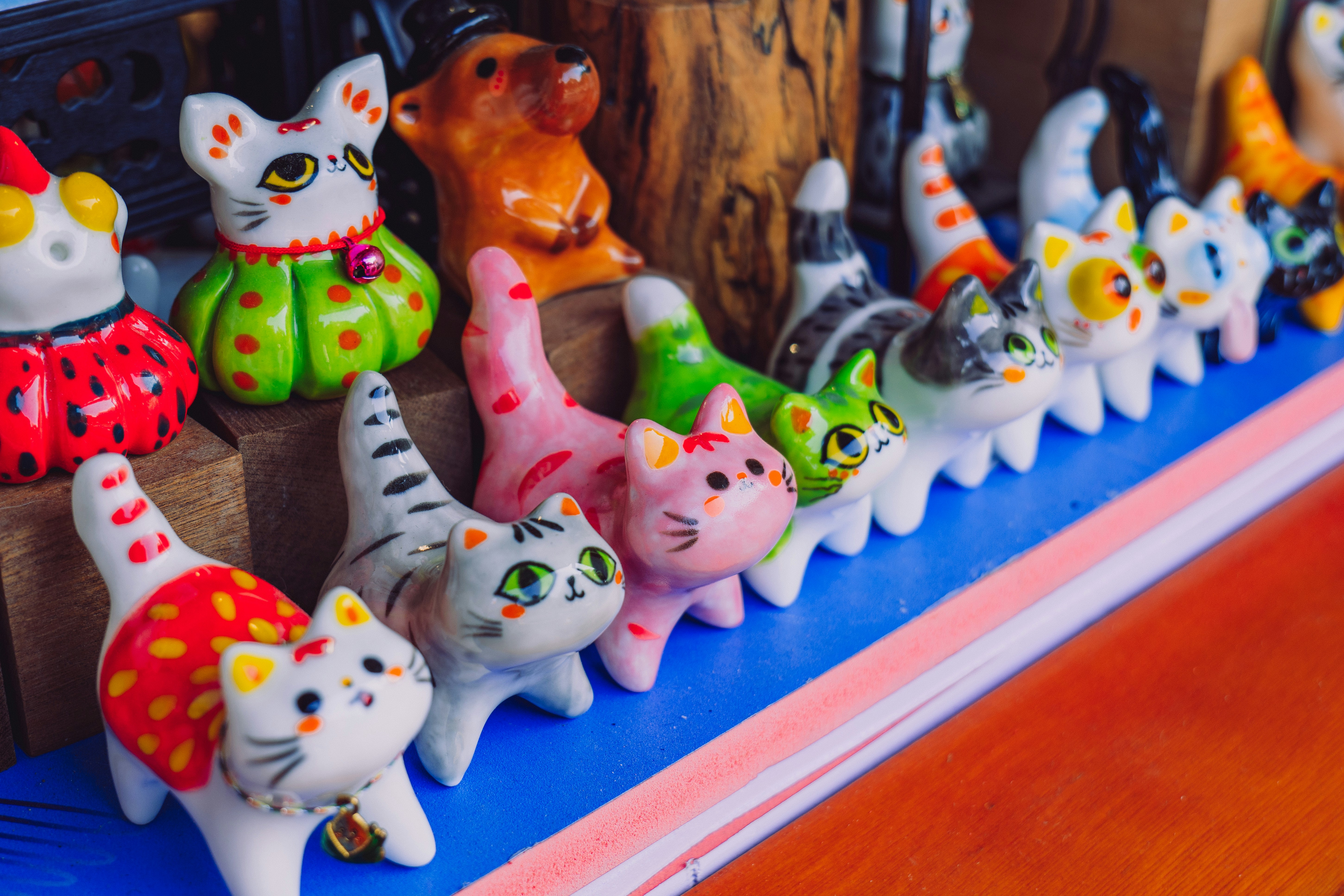 Photo by aasing_gwok