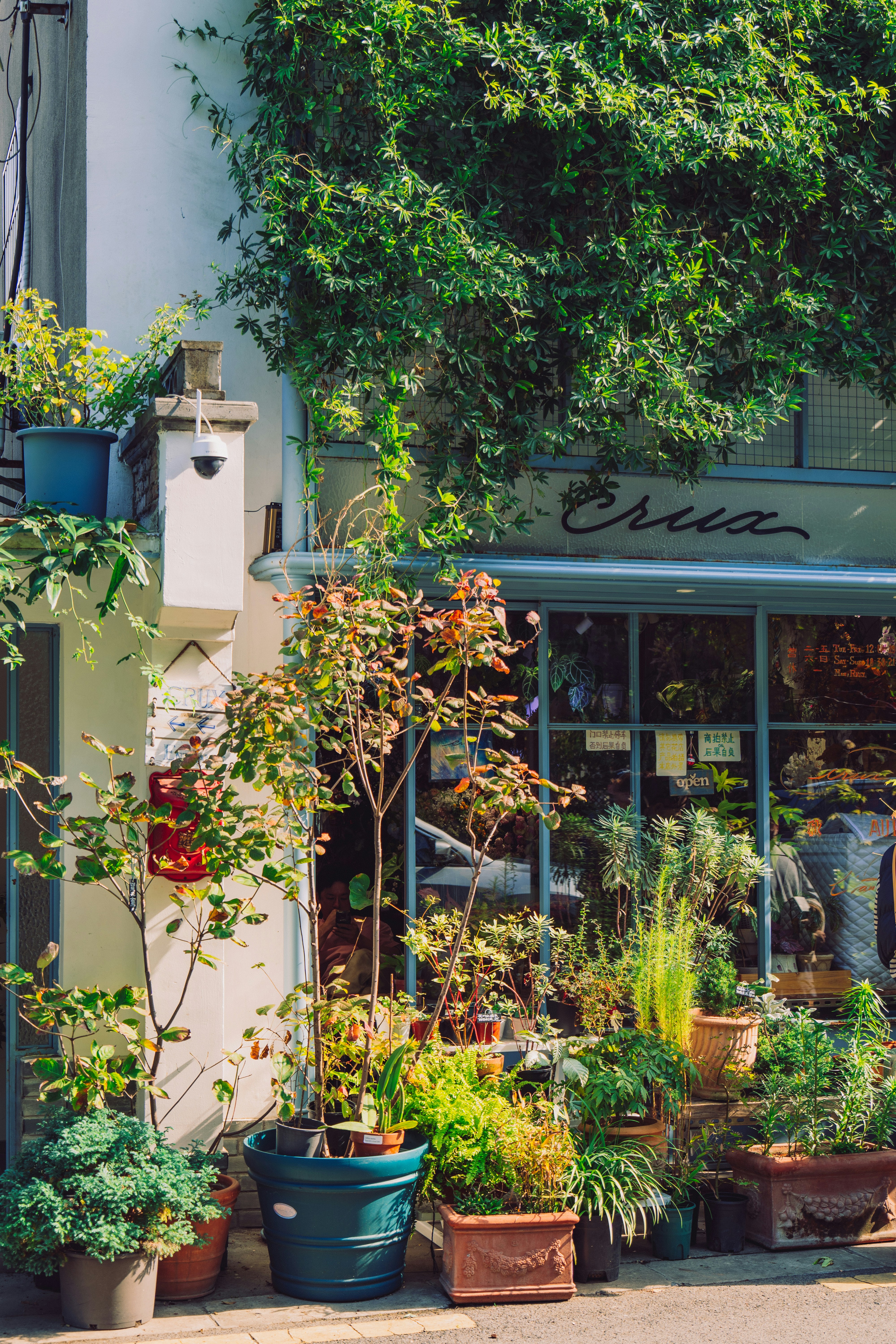 Photo by aasing_gwok