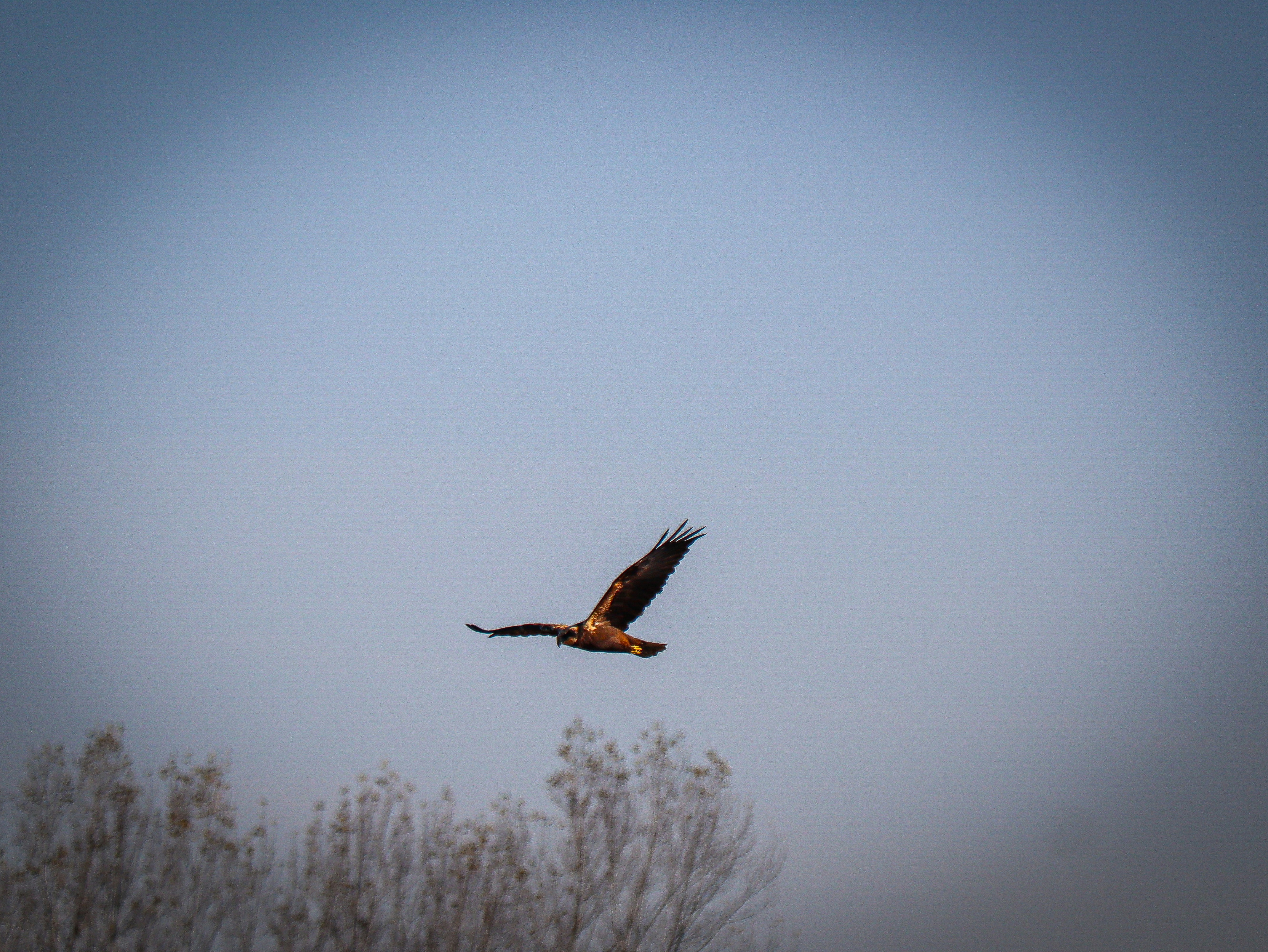 Photo by 3kolone