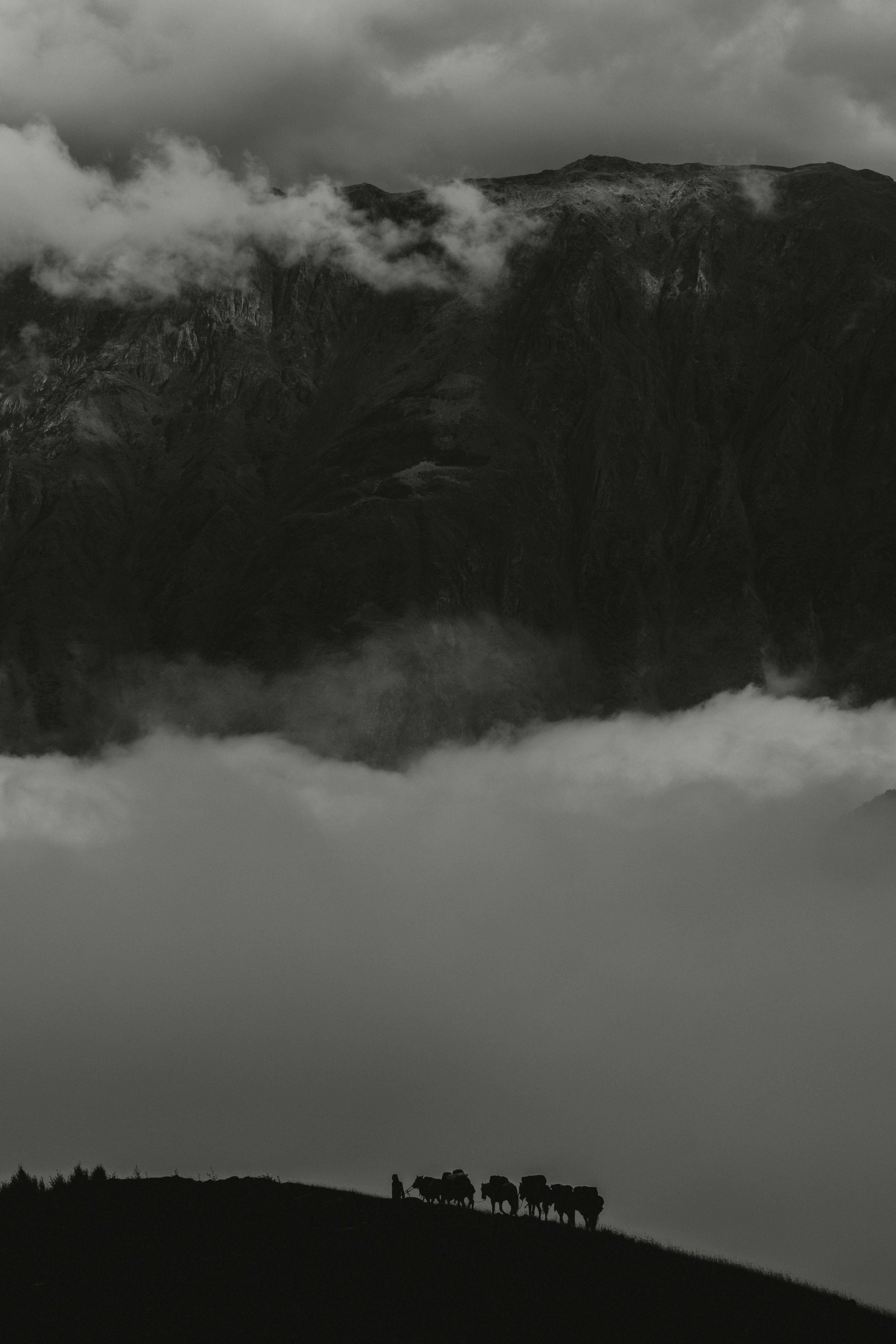 Experiencias visuales únicas e impactantes