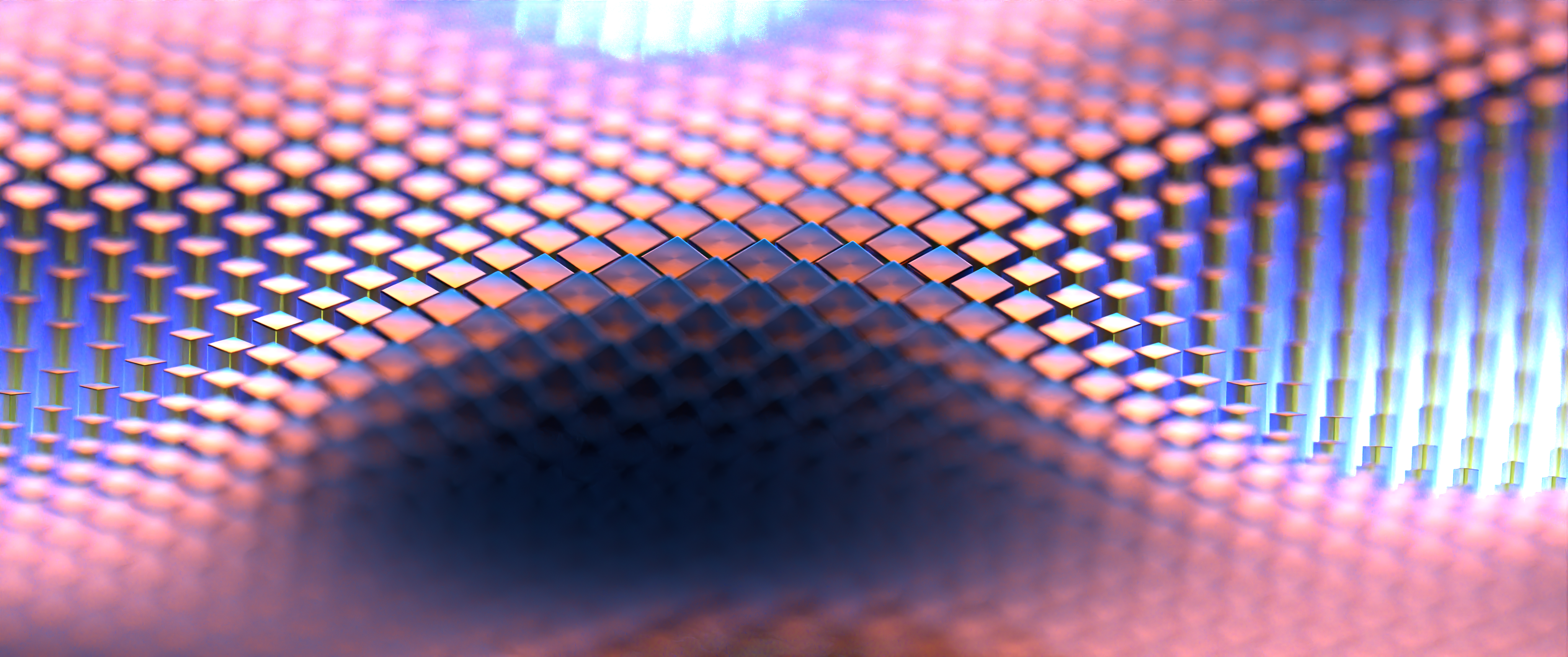 Photo by aashish_chandra