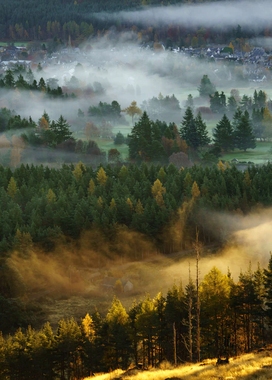 The Art of the Morning Ritual