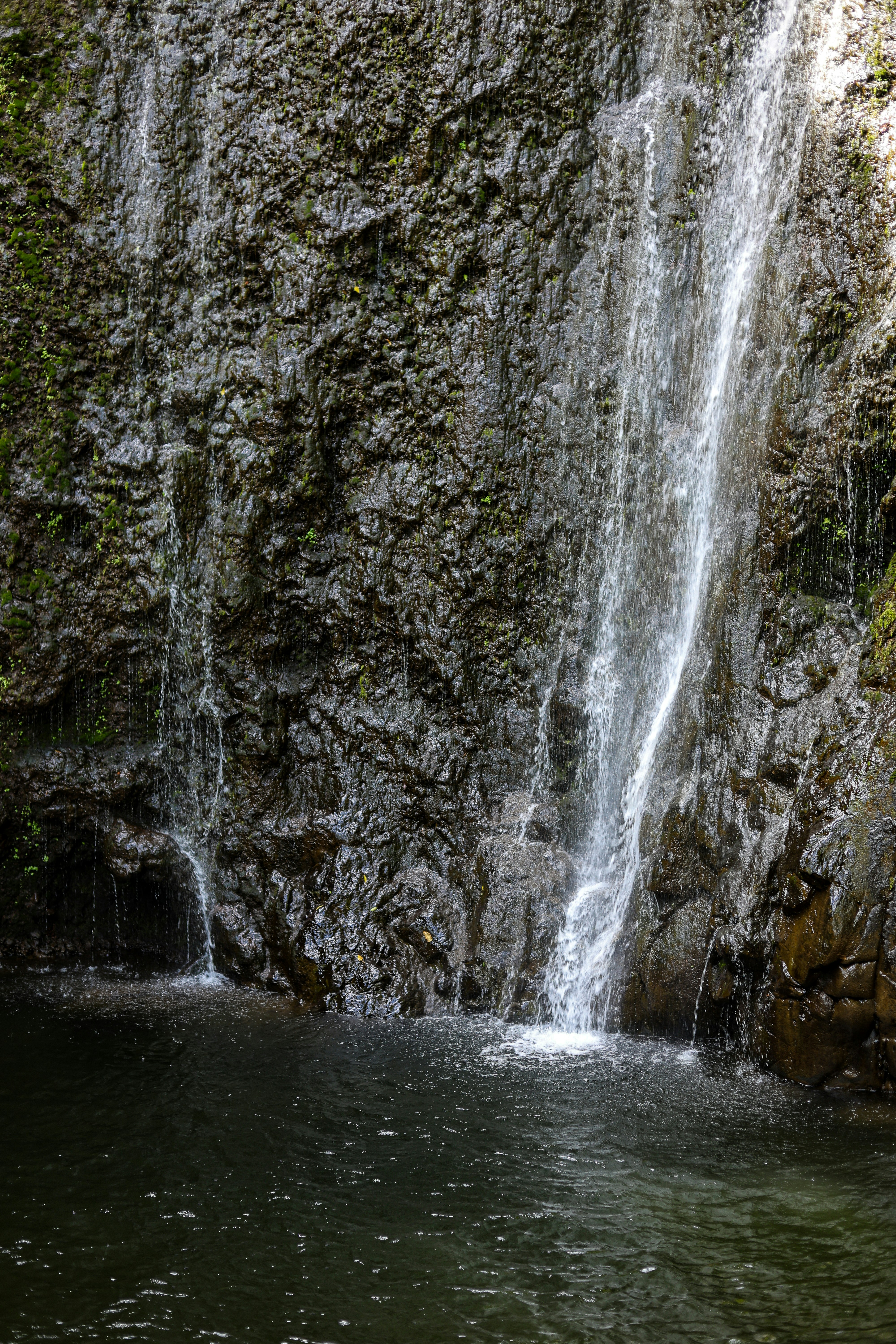 Photo by chaitanya_rayampally